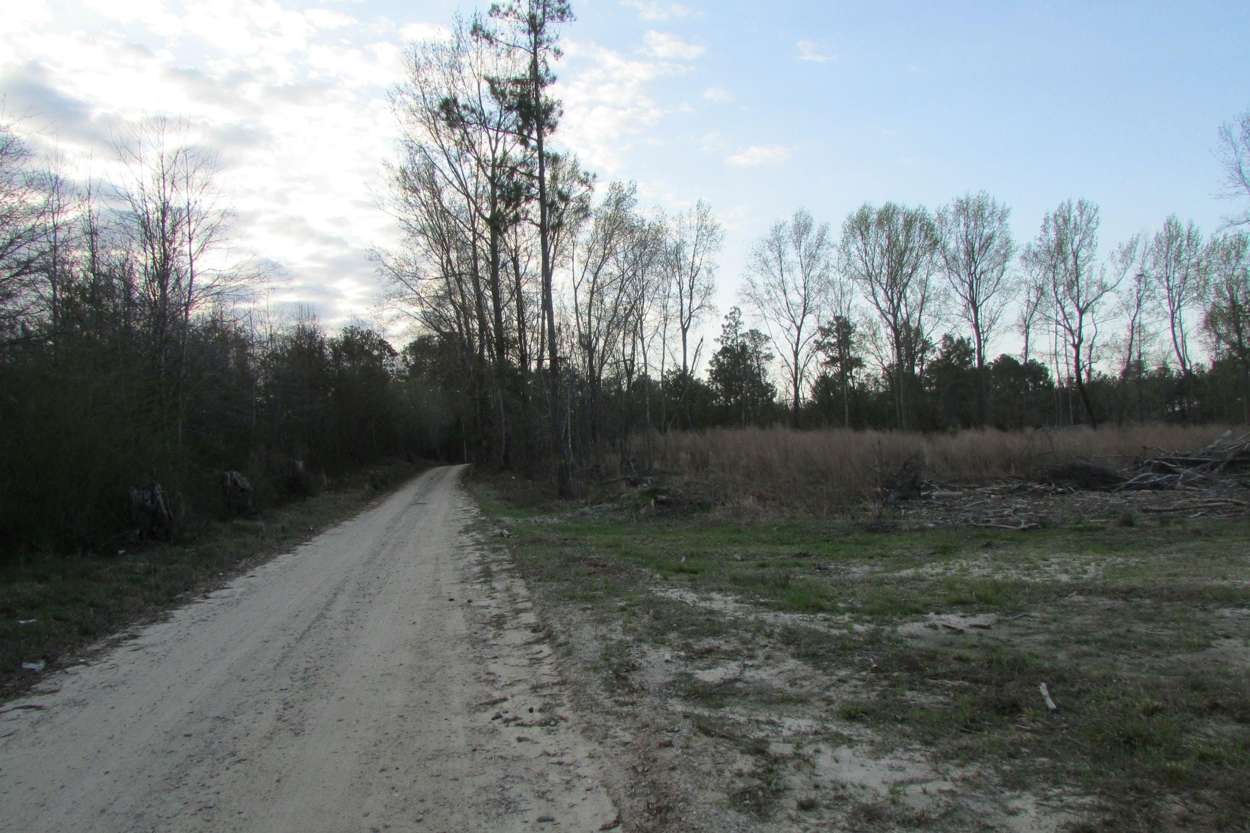 Rembert, Lee County, SC Recreational Property, Hunting Property for