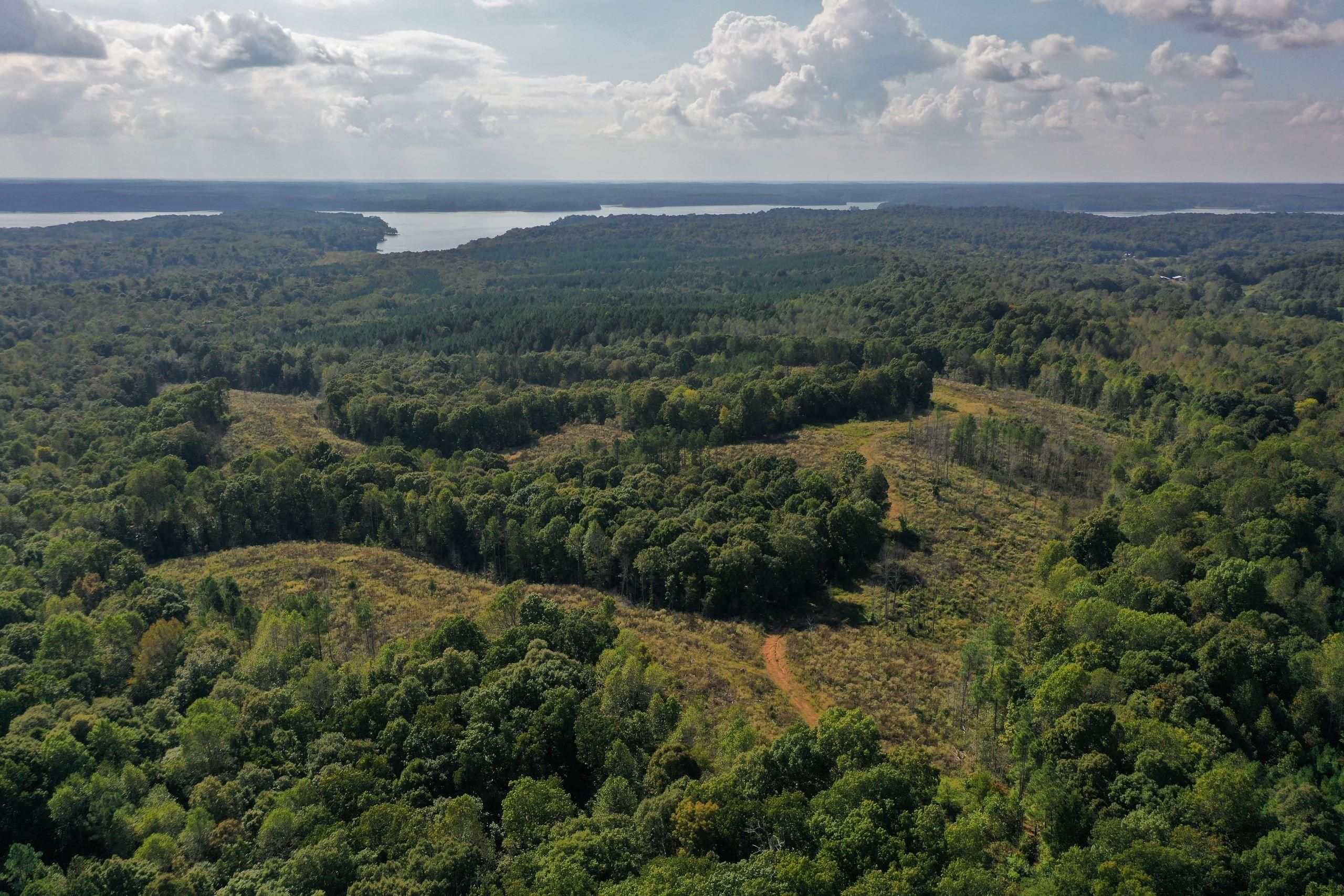 Lamasco, Lyon County, KY Recreational Property, Timberland Property