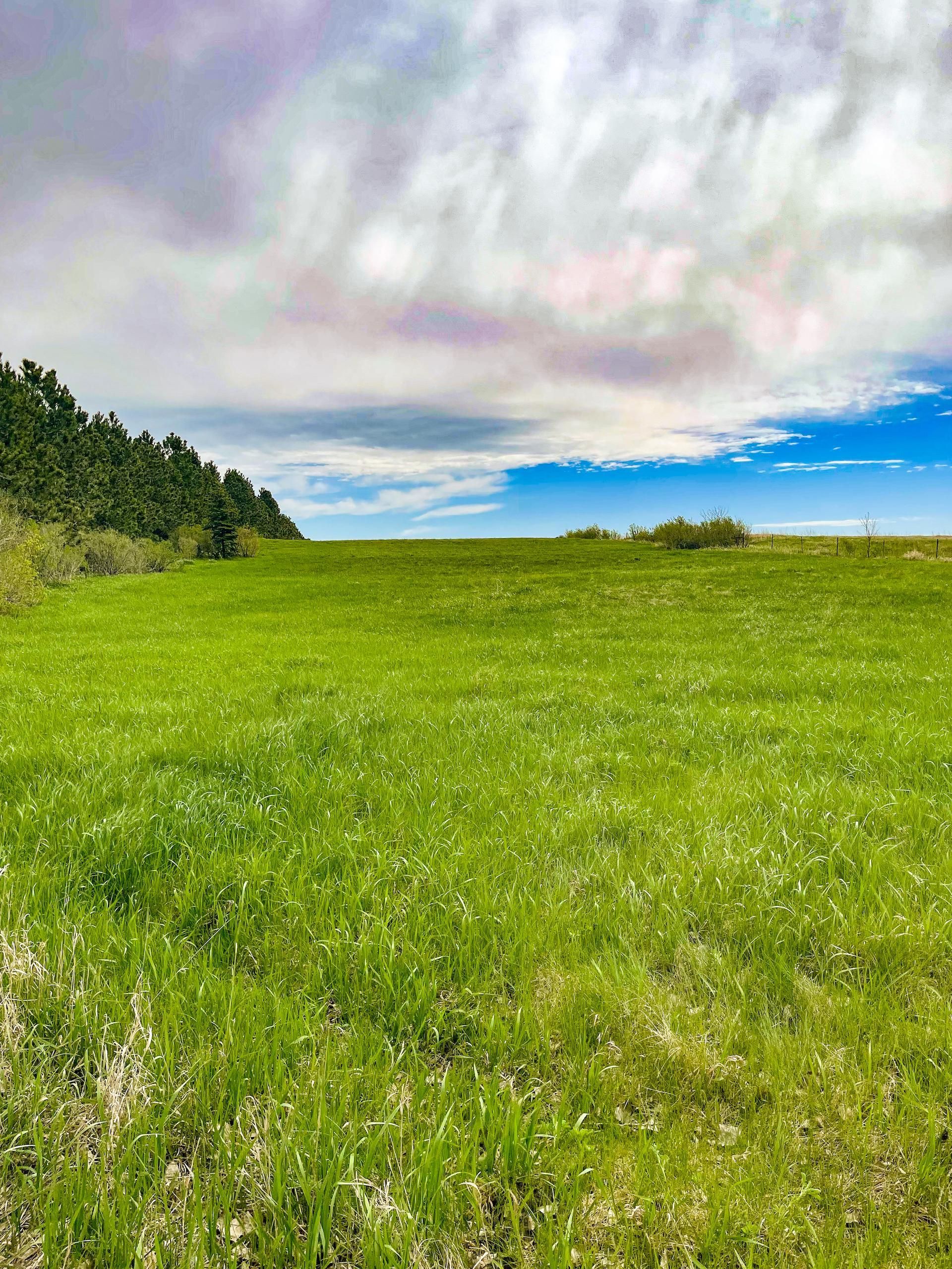 Ponderosa Loop, LotWP004, Waubay, SD 57273 LandWatch