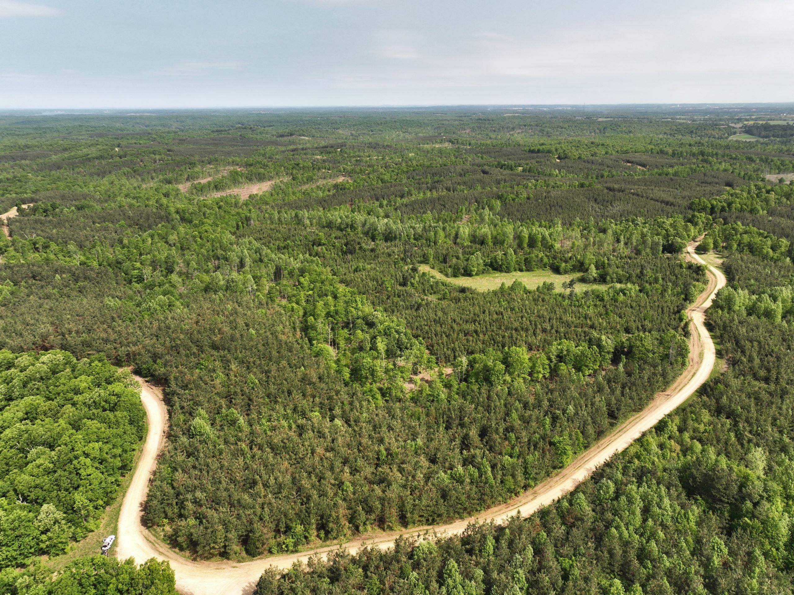 Lamasco, Lyon County, KY Recreational Property, Timberland Property