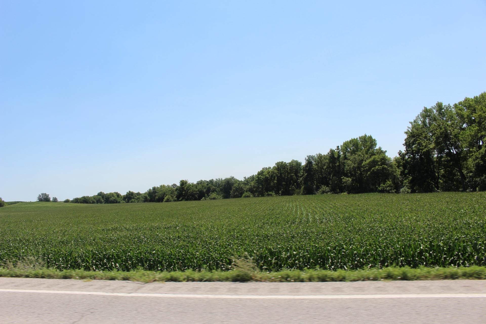 Treynor, Pottawattamie County, IA Farms and Ranches for auction Property ID 414464521 LandWatch