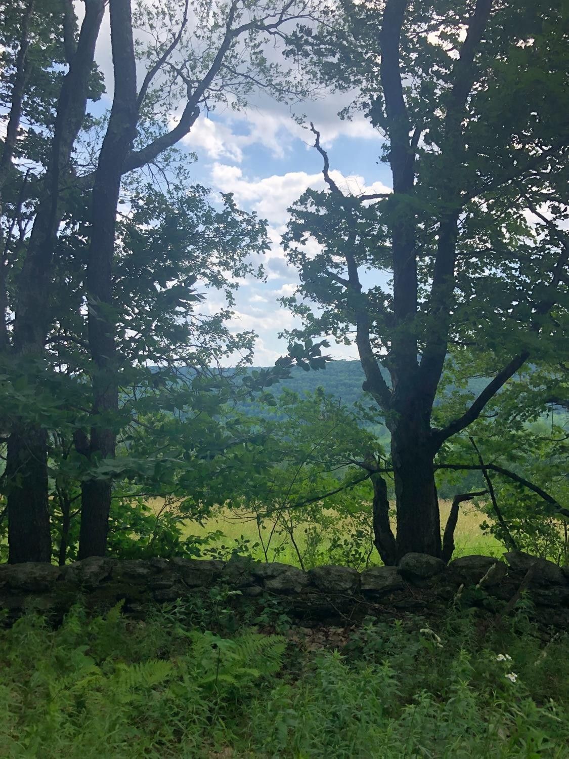 Unadilla, Otsego County, NY Undeveloped Land for sale Property ID 414447402 LandWatch