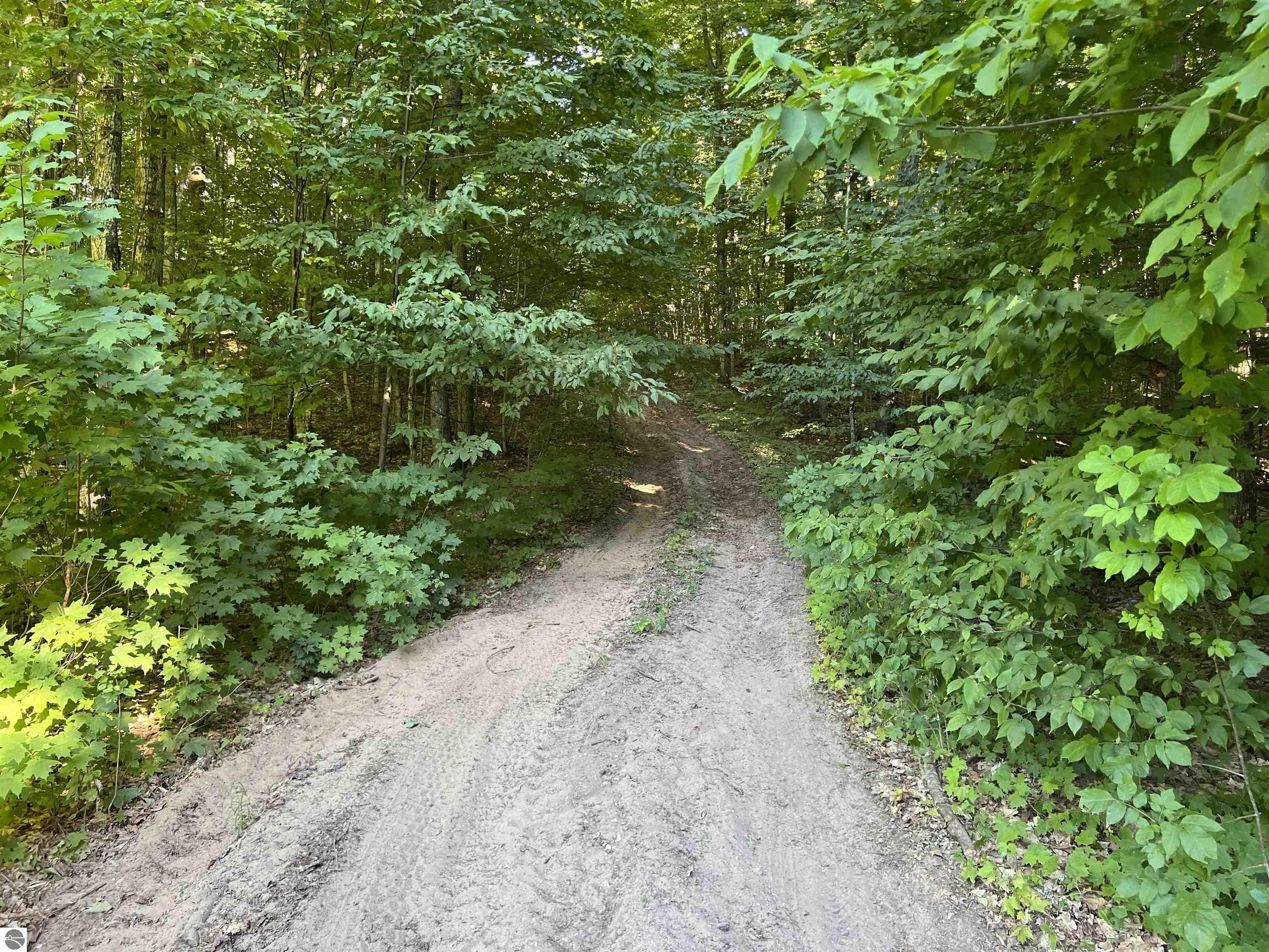 Mancelona, Antrim County, MI Undeveloped Land for sale Property ID