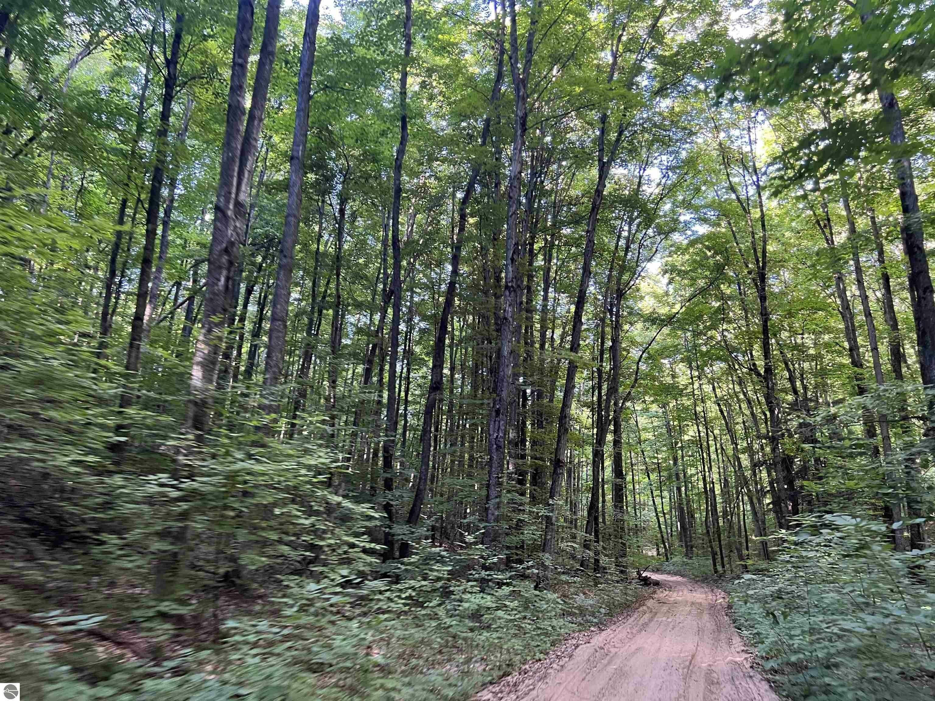 Mancelona, Antrim County, MI Undeveloped Land for sale Property ID