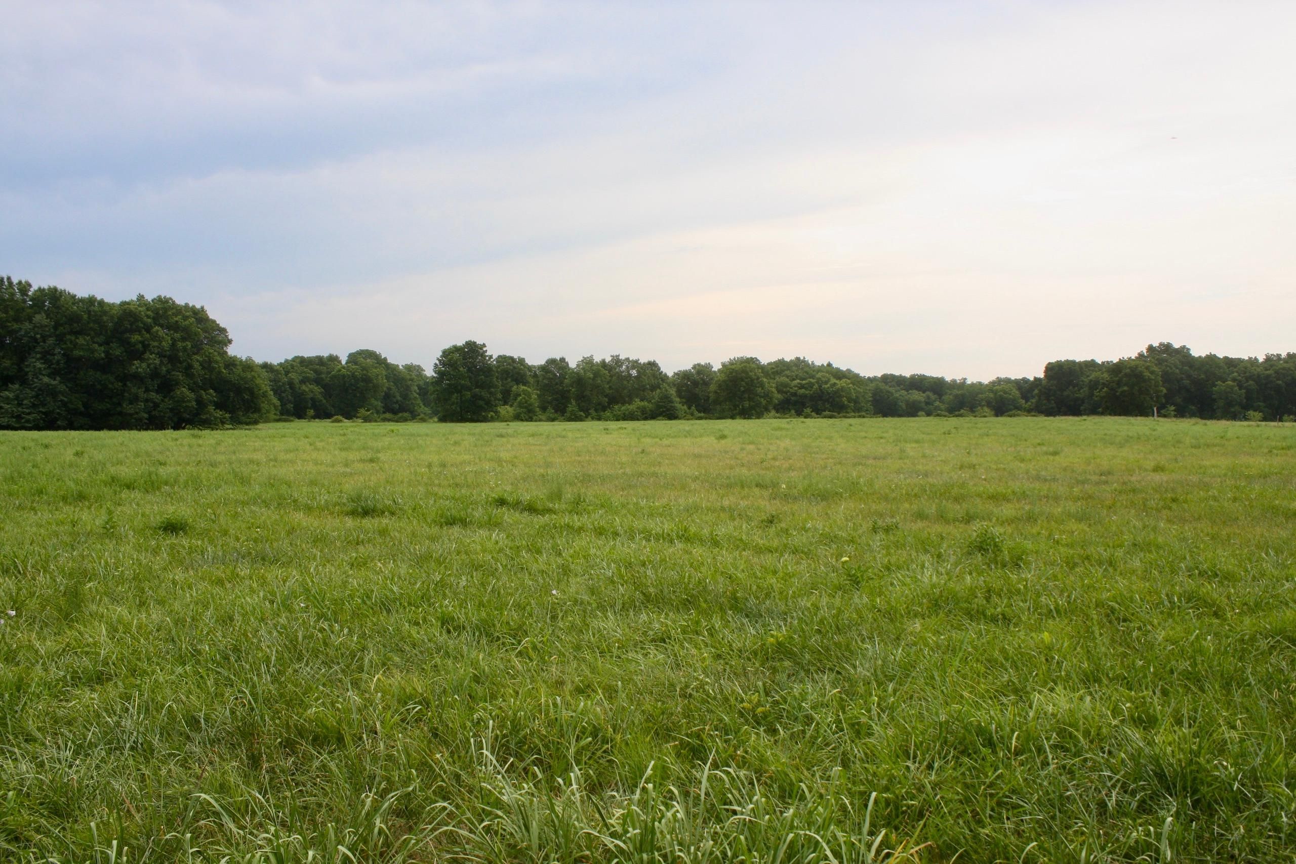 Richards, Vernon County, MO Farms and Ranches, Timberland Property