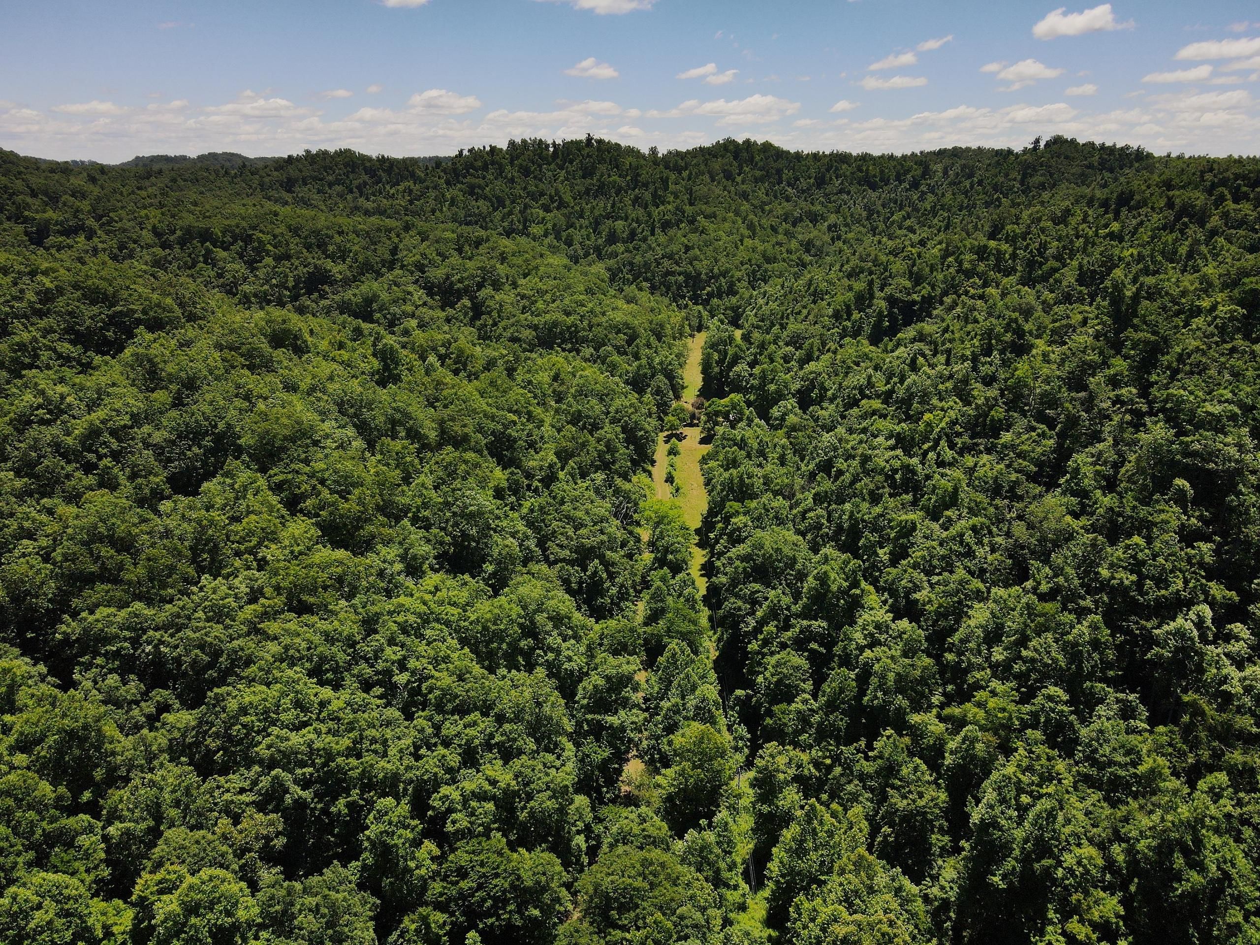 Blaine, Lawrence County, KY Recreational Property, Hunting Property for sale Property ID