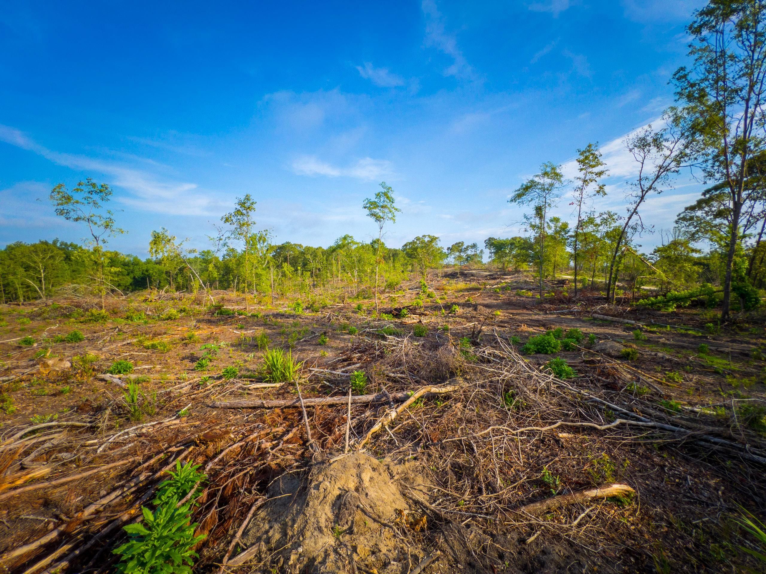 Macon, Jones County, GA Farms and Ranches, Recreational Property