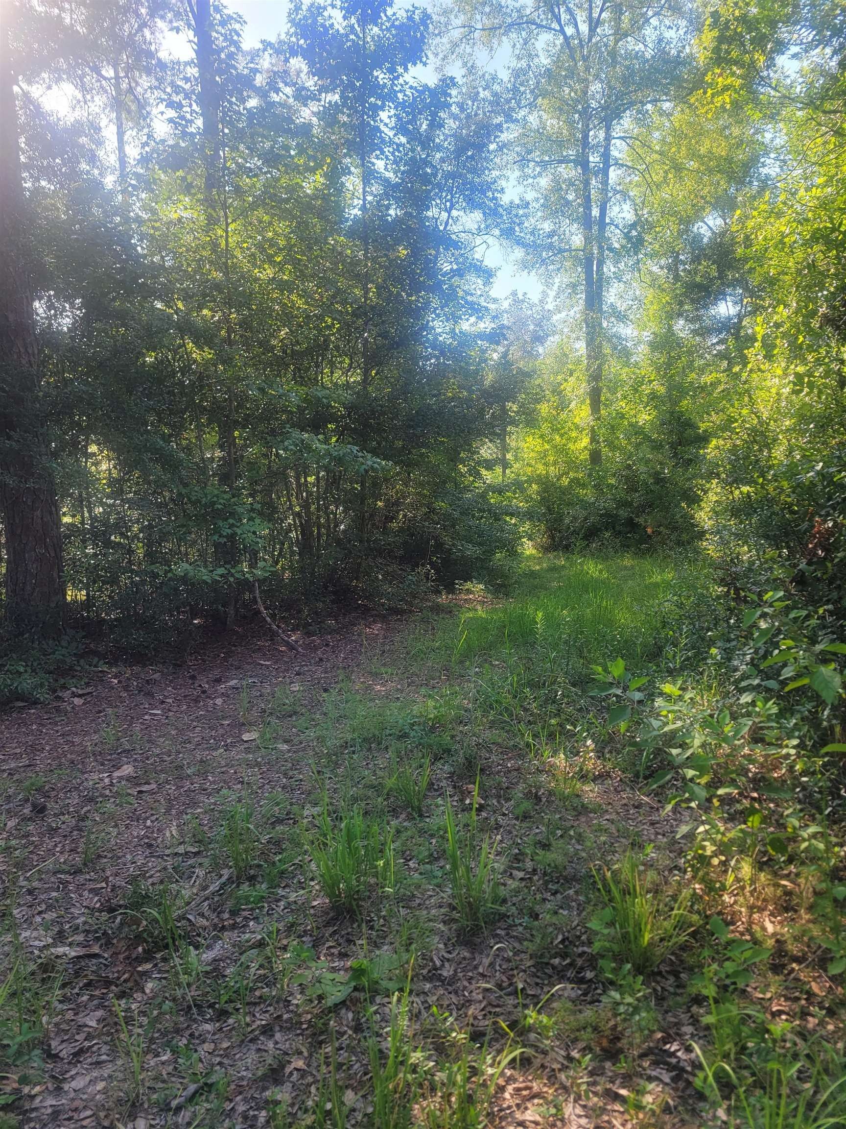 Cairo, Grady County, GA Undeveloped Land for sale Property ID