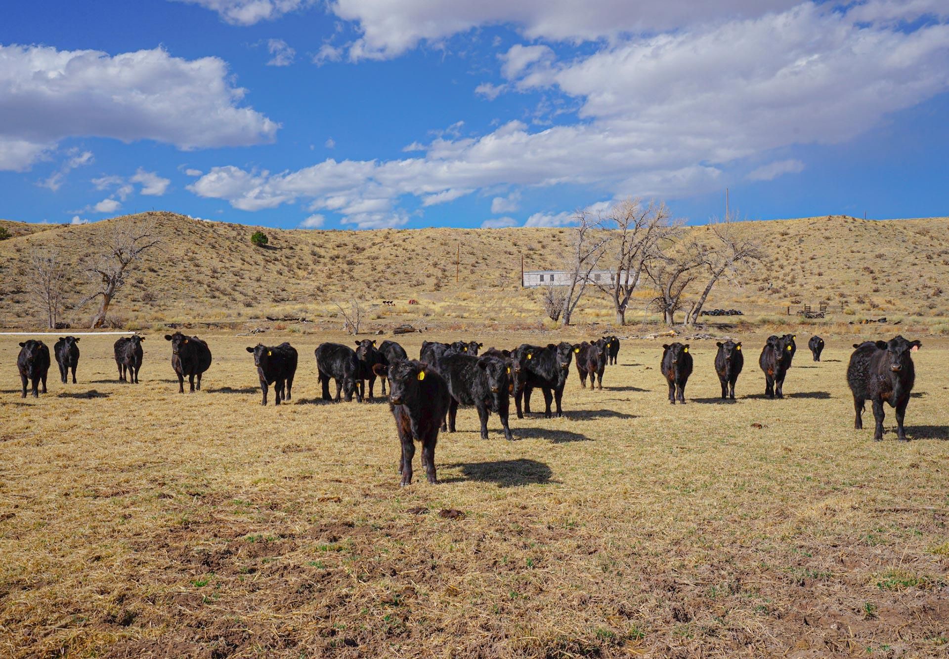 11,307 acres in Walsenburg, CO, 81089 LandWatch
