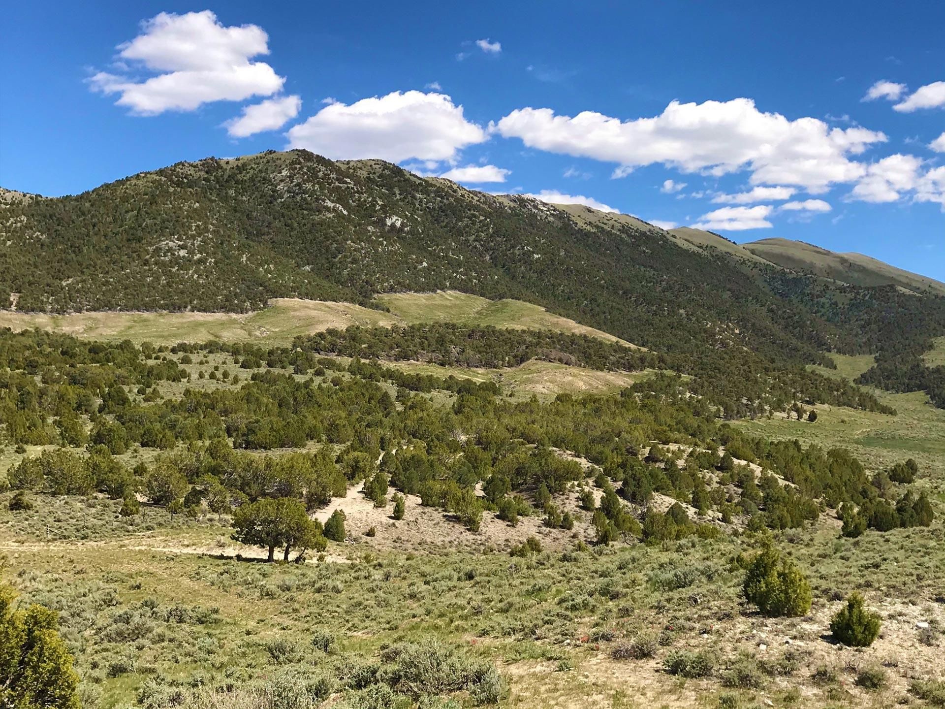 Malta, Cassia County, ID Farms and Ranches, Hunting Property, Horse