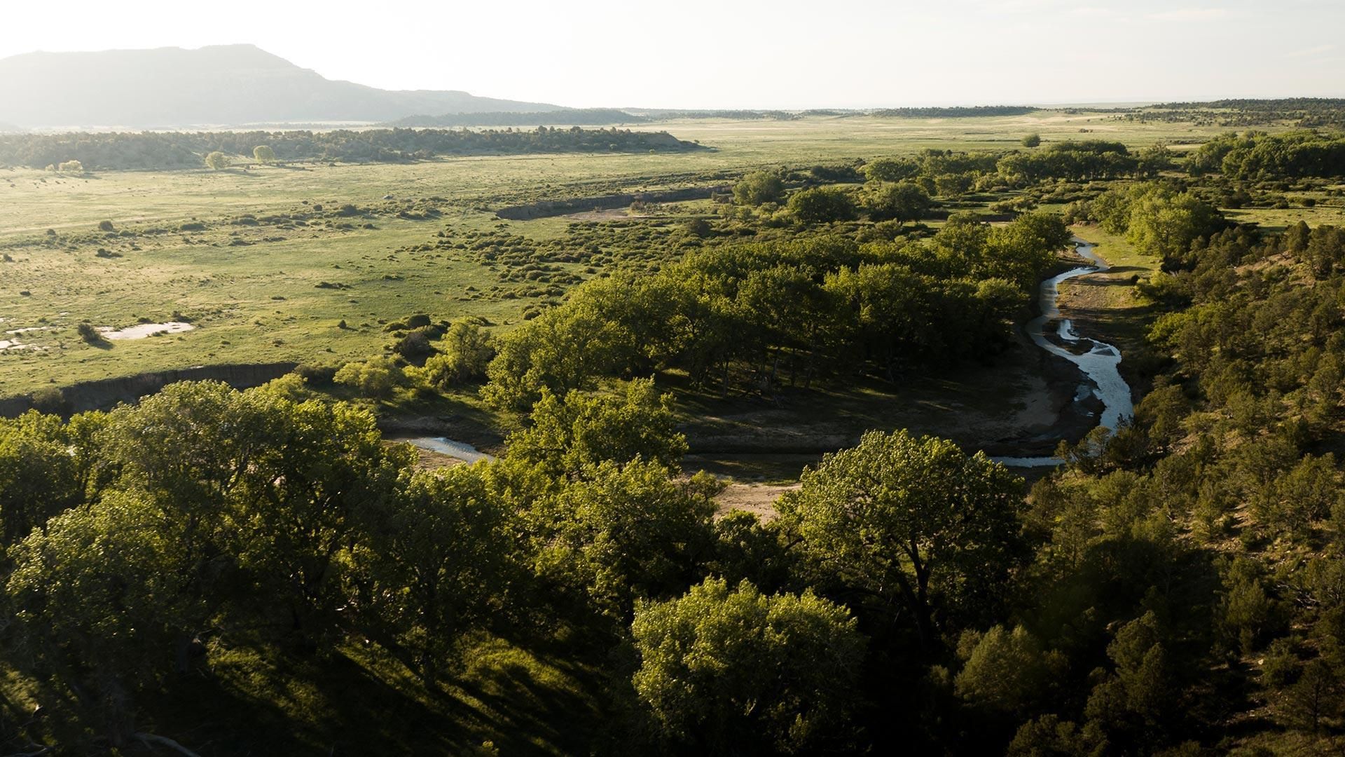 50,039 acres in Cimarron, NM, 87714 LandWatch