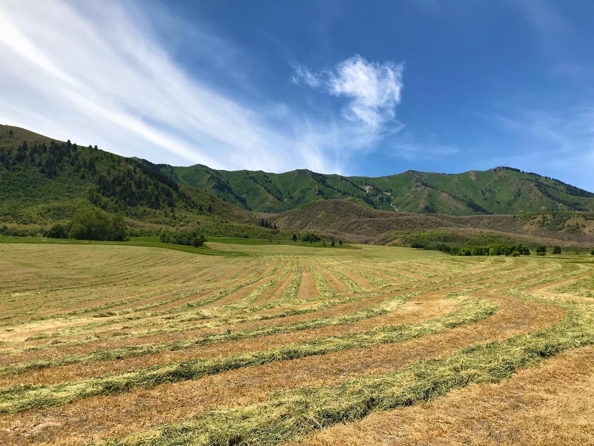 185 acres in Wellsville, UT, 84339 LandWatch