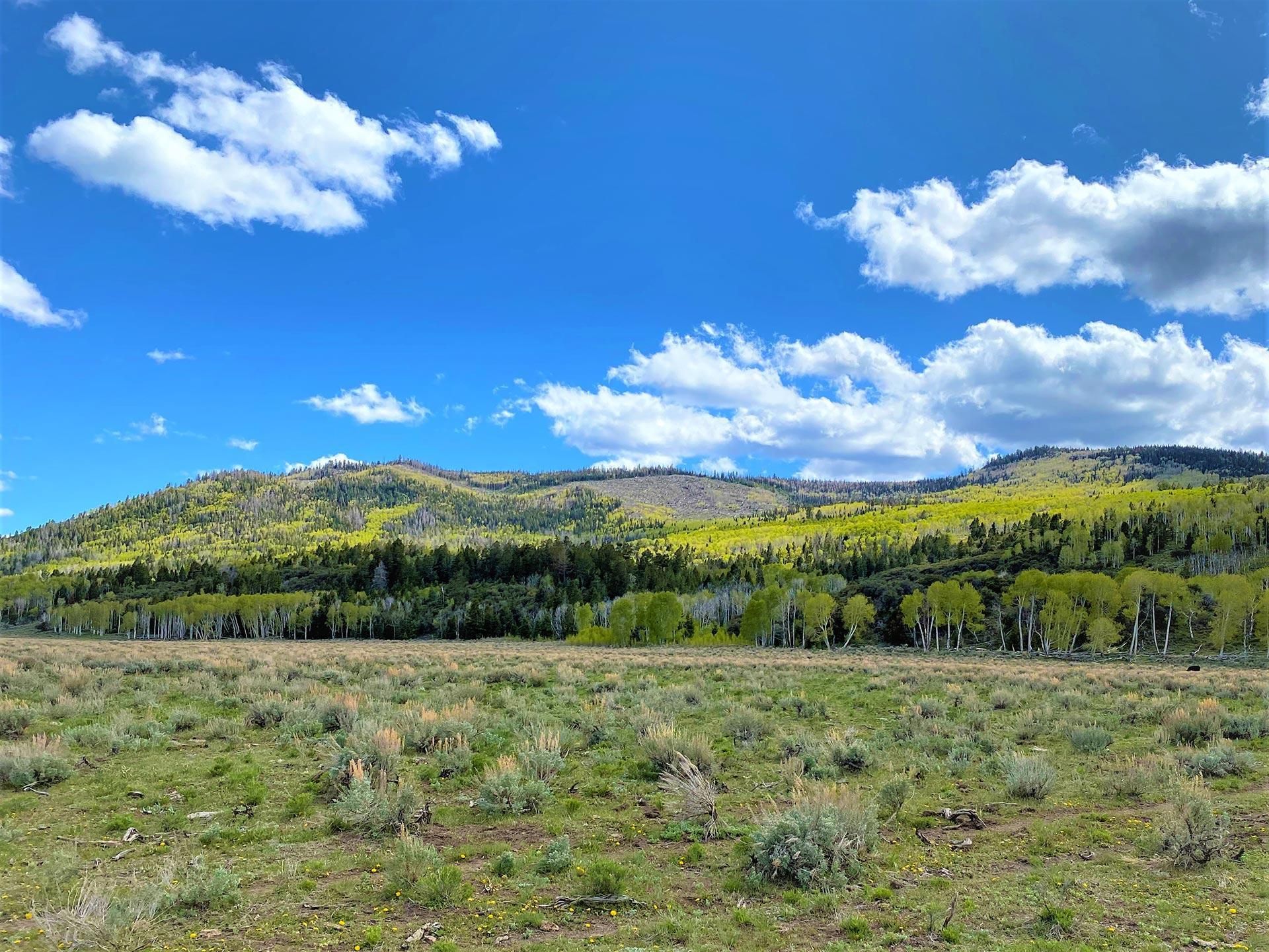 7,942 acres in Richfield, UT, 84701 LandWatch