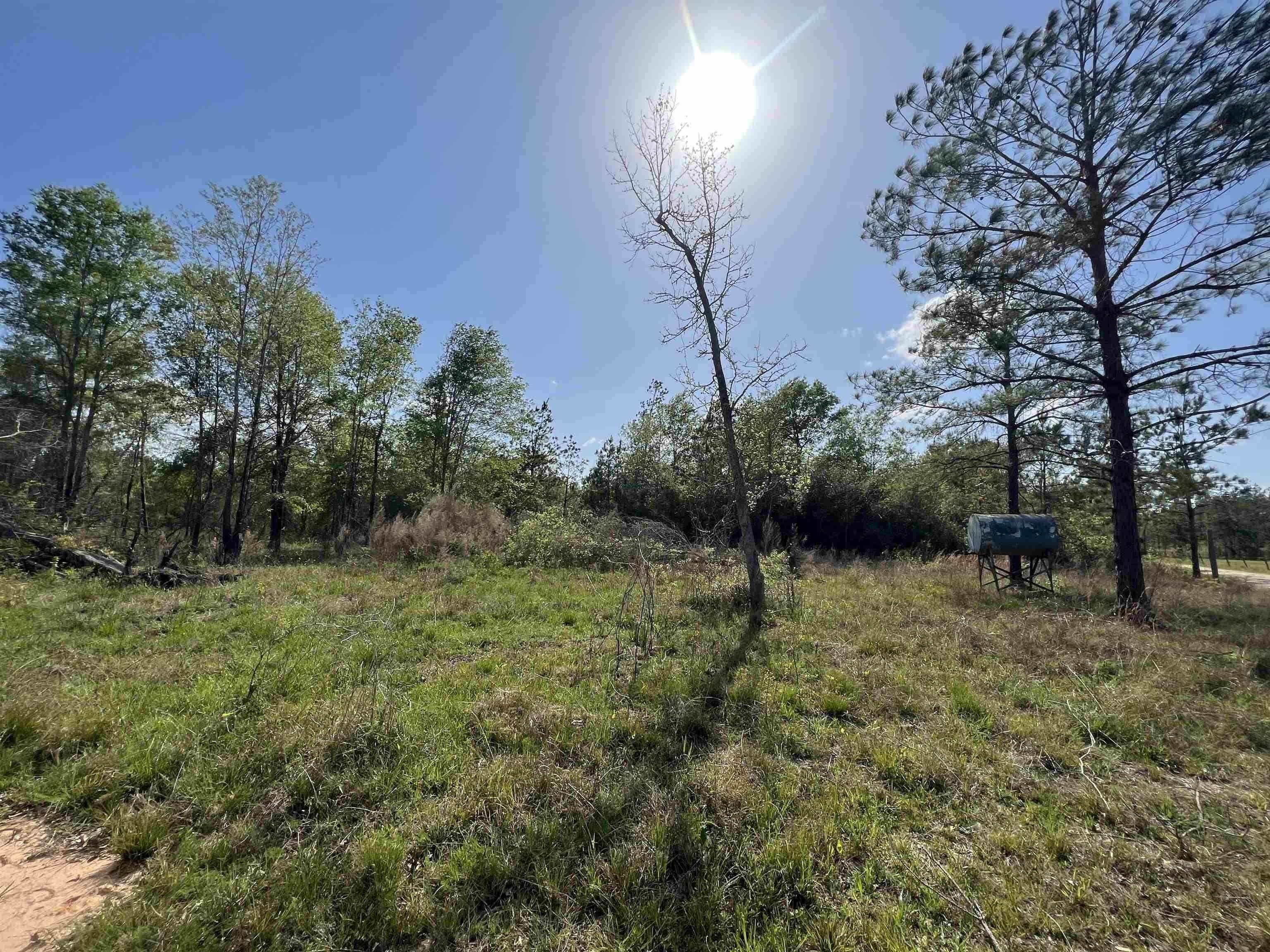 Newton, Newton County, TX Undeveloped Land, Lakefront Property