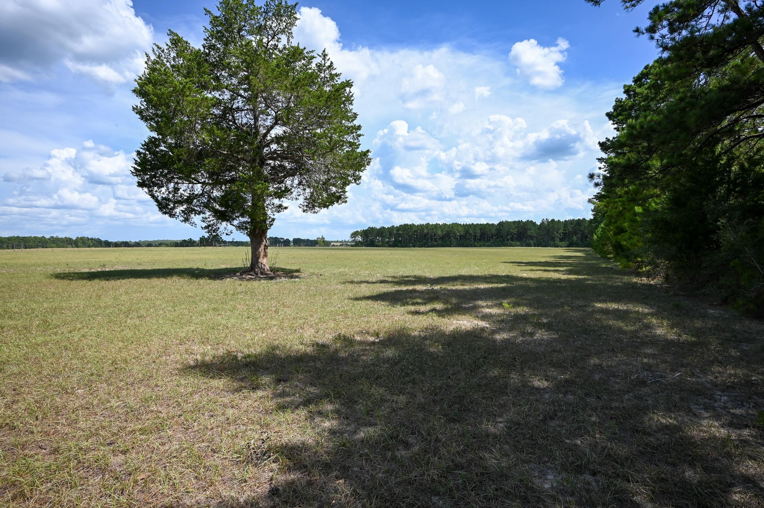 Woodville, Tyler County, TX Farms and Ranches, Horse Property for sale