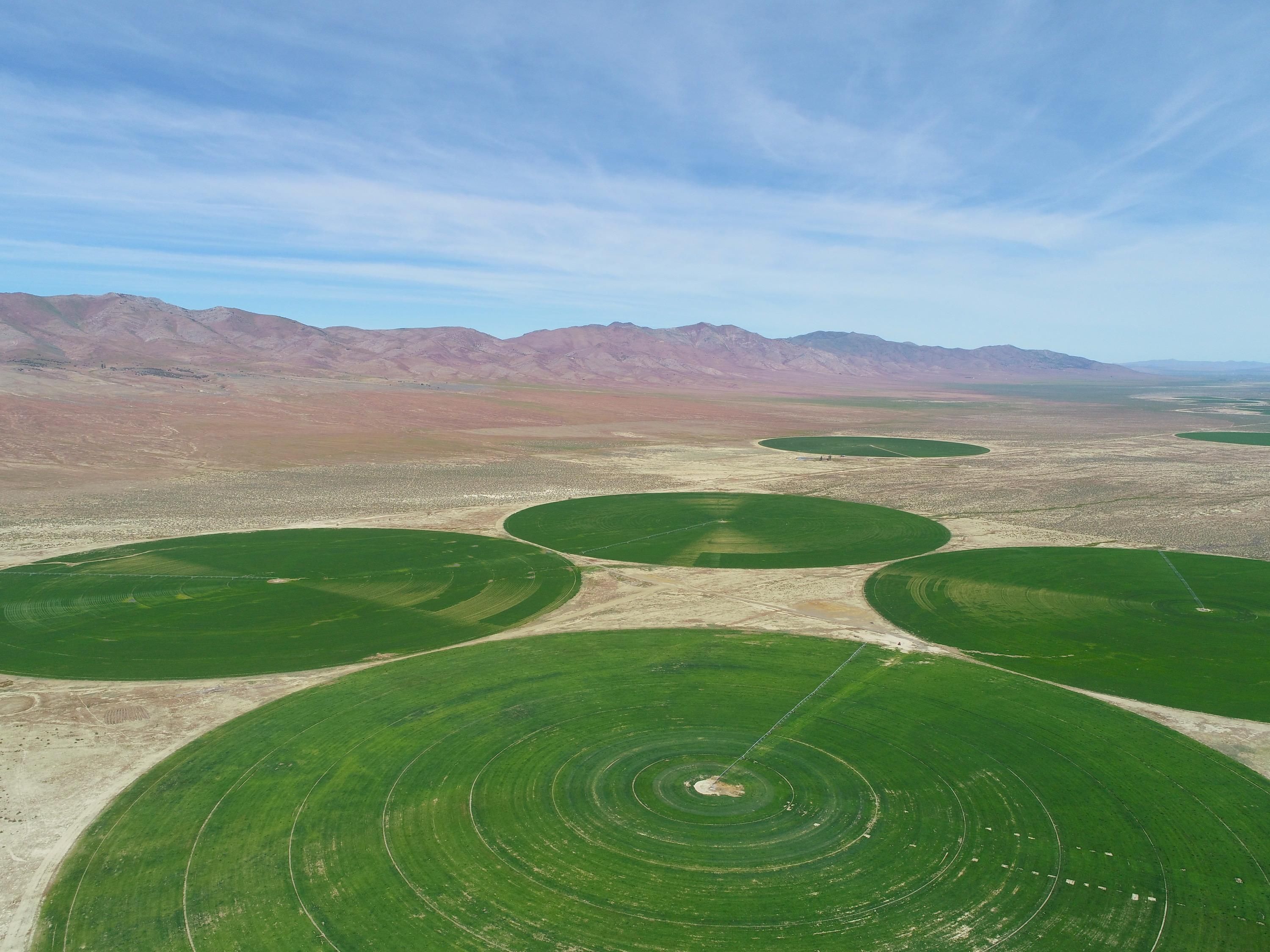 Winnemucca, Pershing County, NV Farms and Ranches, Commercial Property