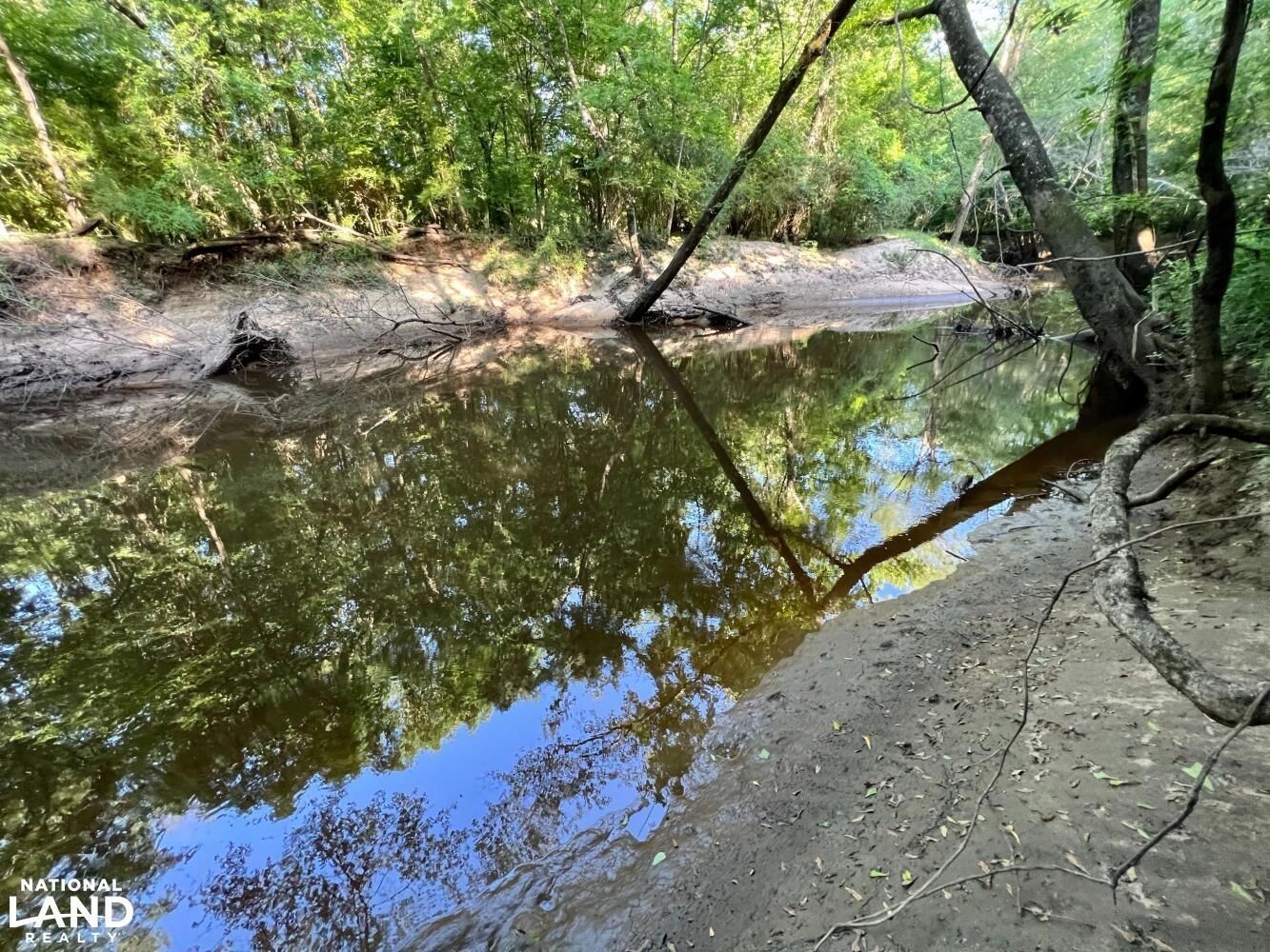 Millry, Washington County, AL Recreational Property, Timberland