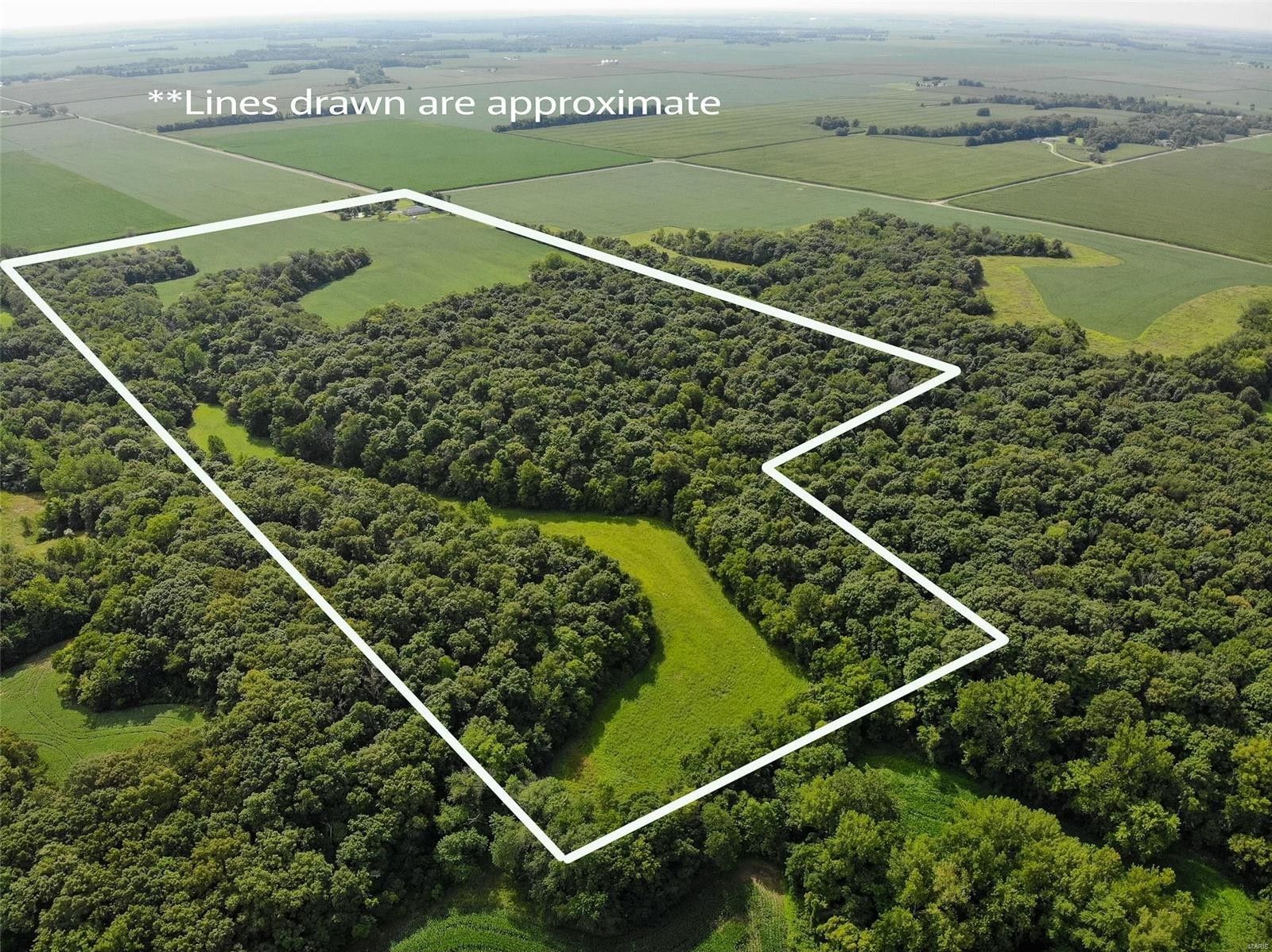 Vandalia, Fayette County, IL Farms and Ranches for sale Property ID