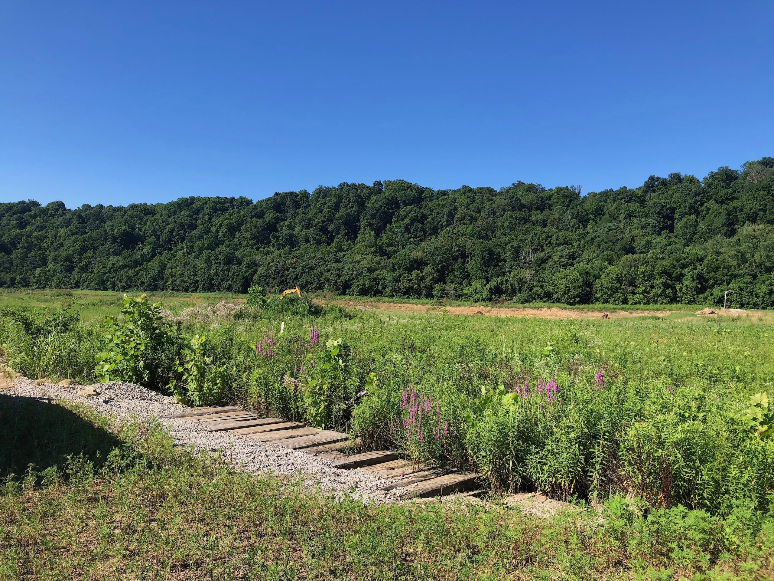 Waterford, Washington County, OH Recreational Property, Timberland