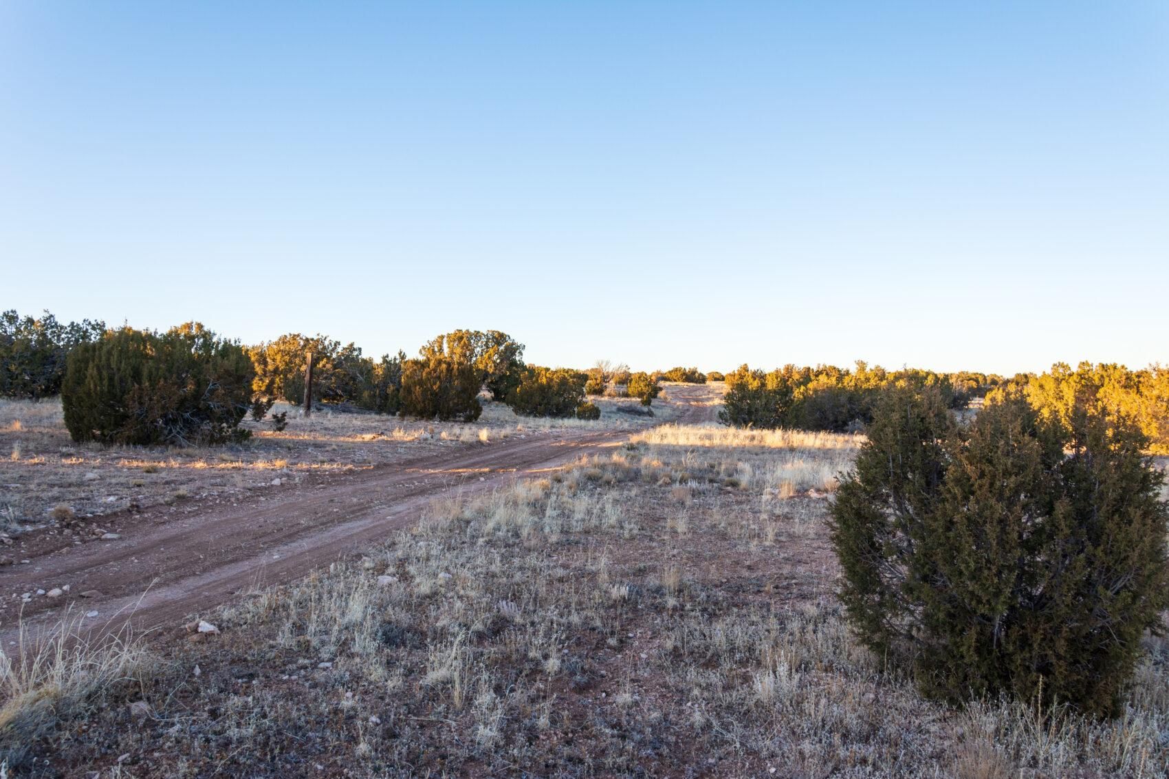 Holbrook, Navajo County, AZ Recreational Property, Hunting Property for