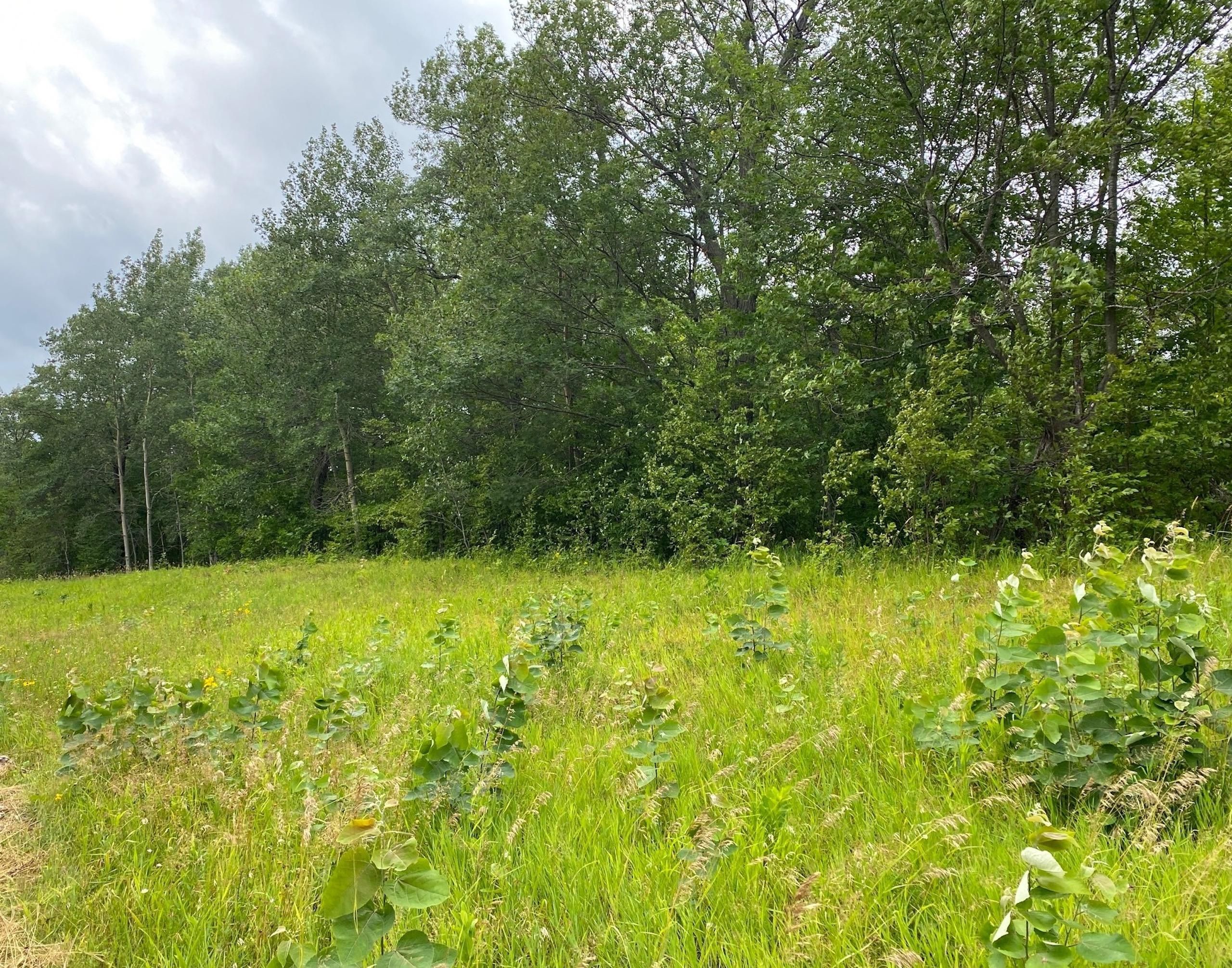 Isle, Mille Lacs County, MN Recreational Property, Hunting Property for