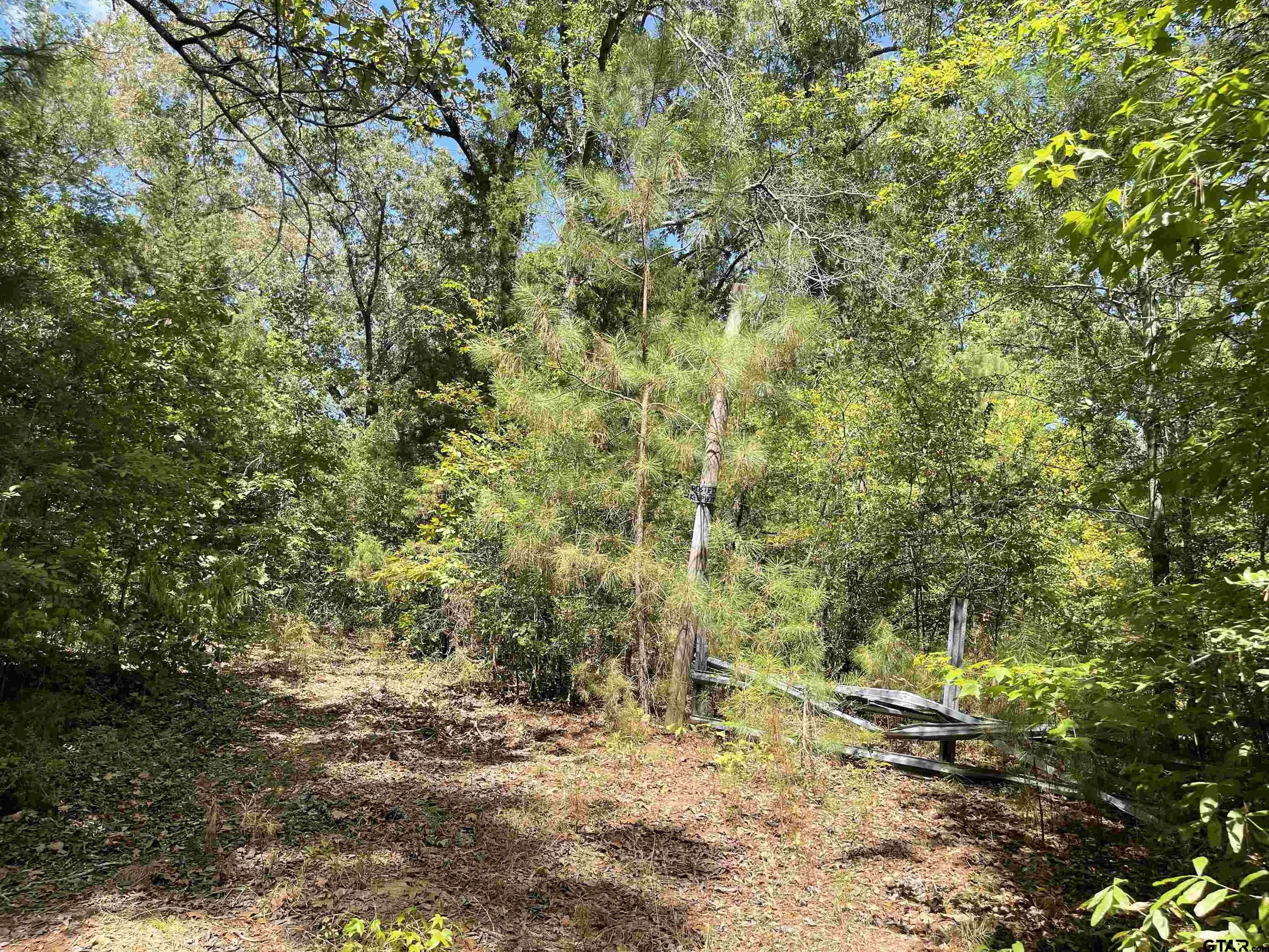 Hughes Springs, Cass County, TX Undeveloped Land for sale Property ID