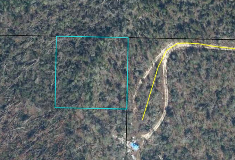 Altha, Calhoun County, FL Recreational Property, Undeveloped Land, Homesites for sale Property