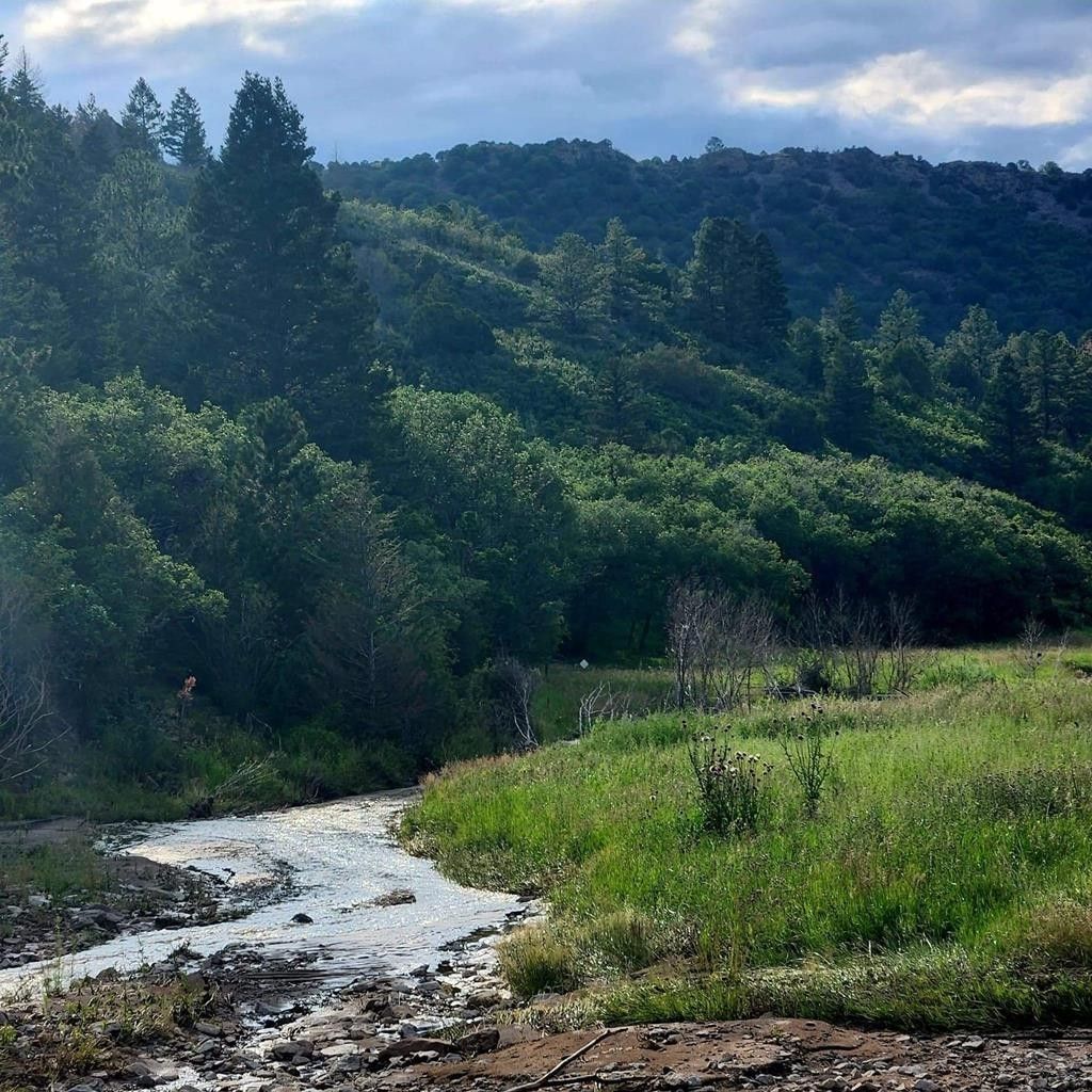 Gardner, Huerfano County, CO Undeveloped Land for sale Property ID