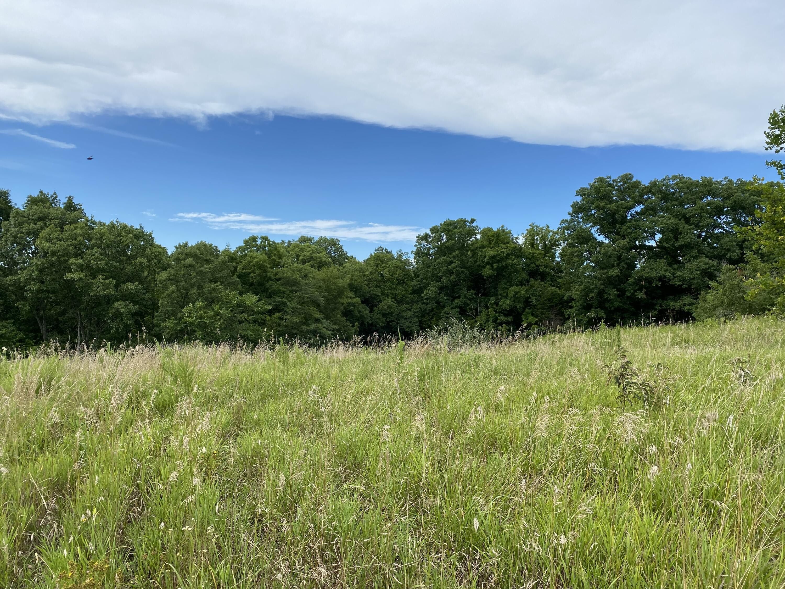 Berry, Harrison County, KY Farms and Ranches for sale Property ID