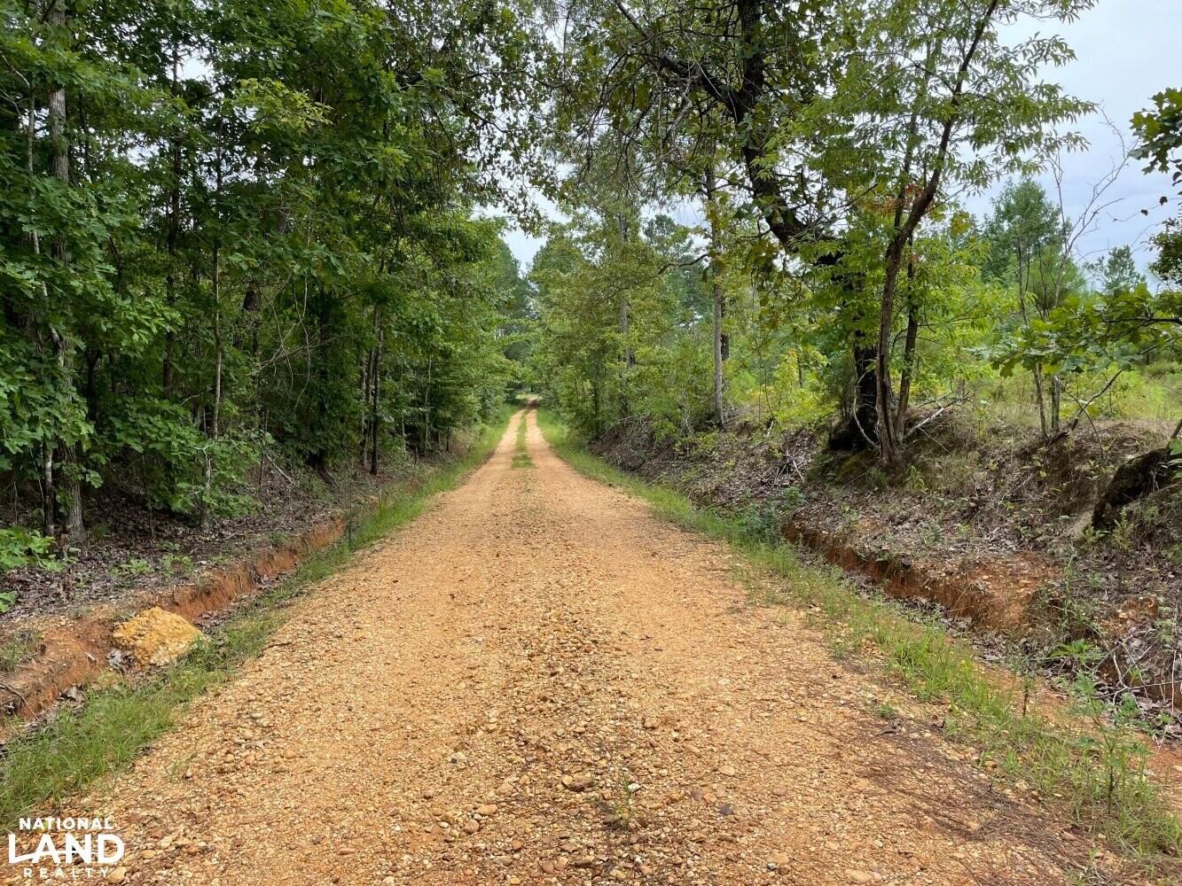 New Site, Prentiss County, MS Recreational Property, Timberland