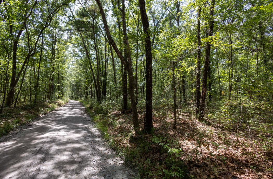 1205 Pennick Road, Brunswick, GA 31525 MLS 20059911 LandWatch