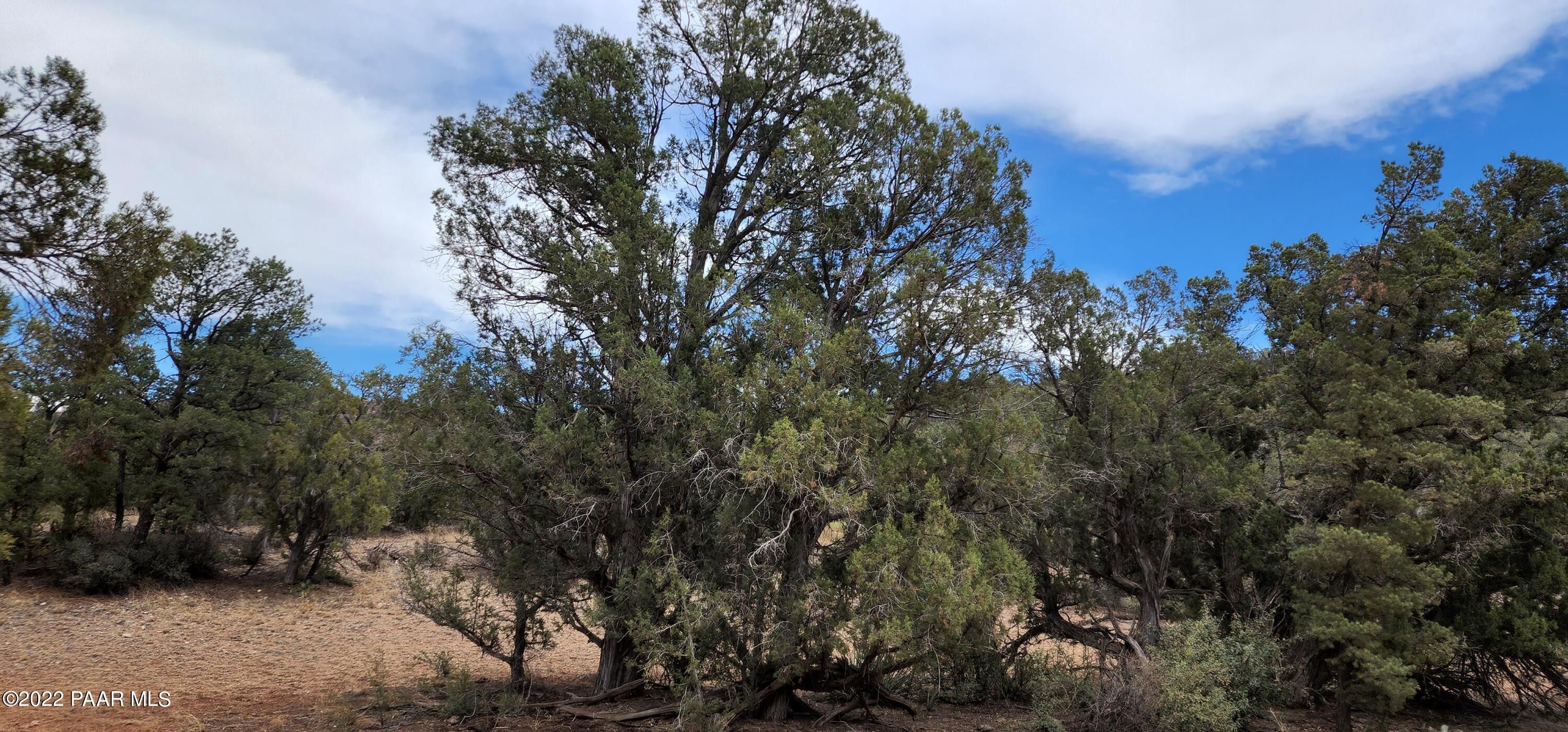 Ash Fork, Yavapai County, AZ Undeveloped Land for sale Property ID