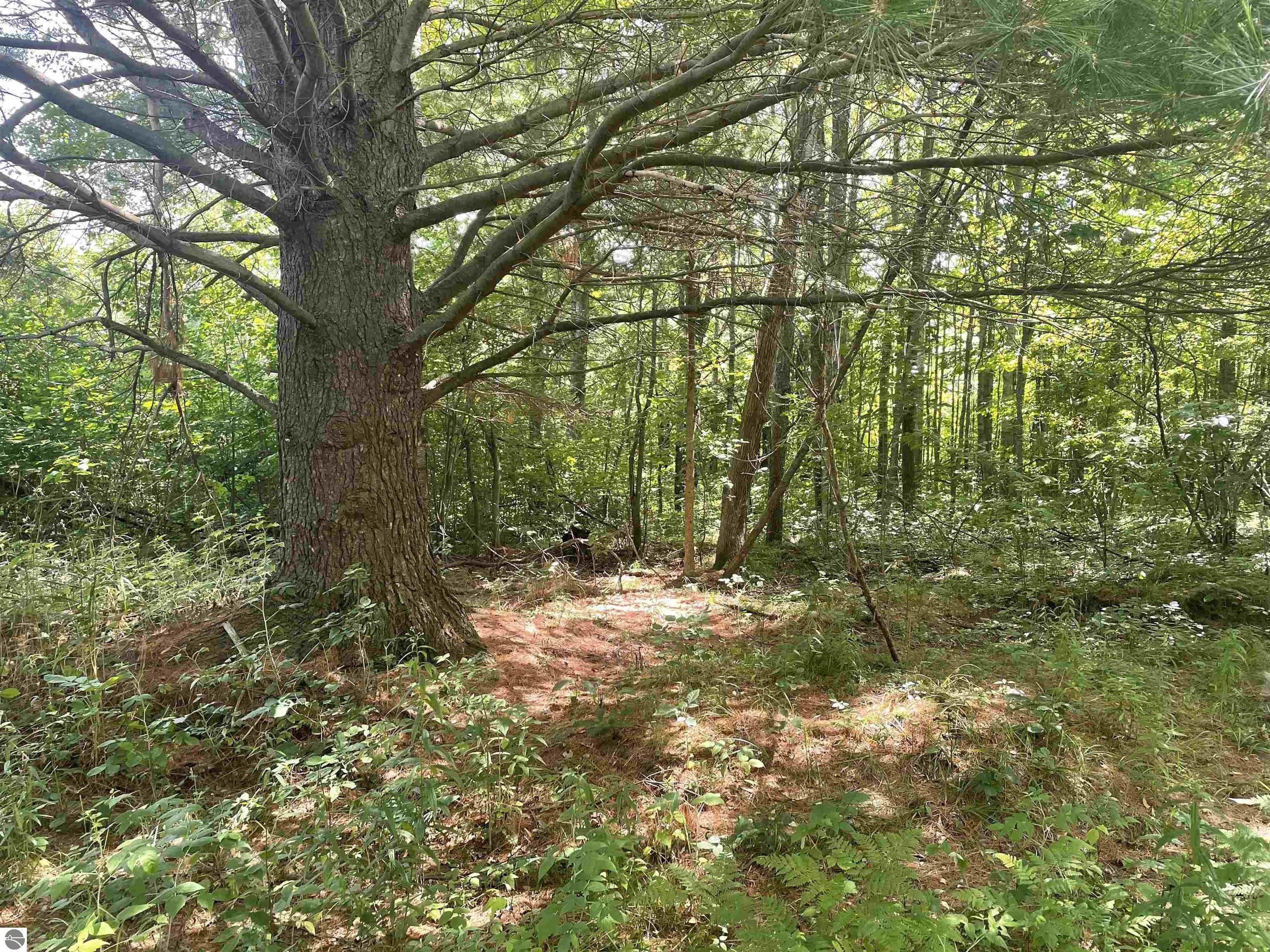 Prescott, Ogemaw County, MI Undeveloped Land, Lakefront Property