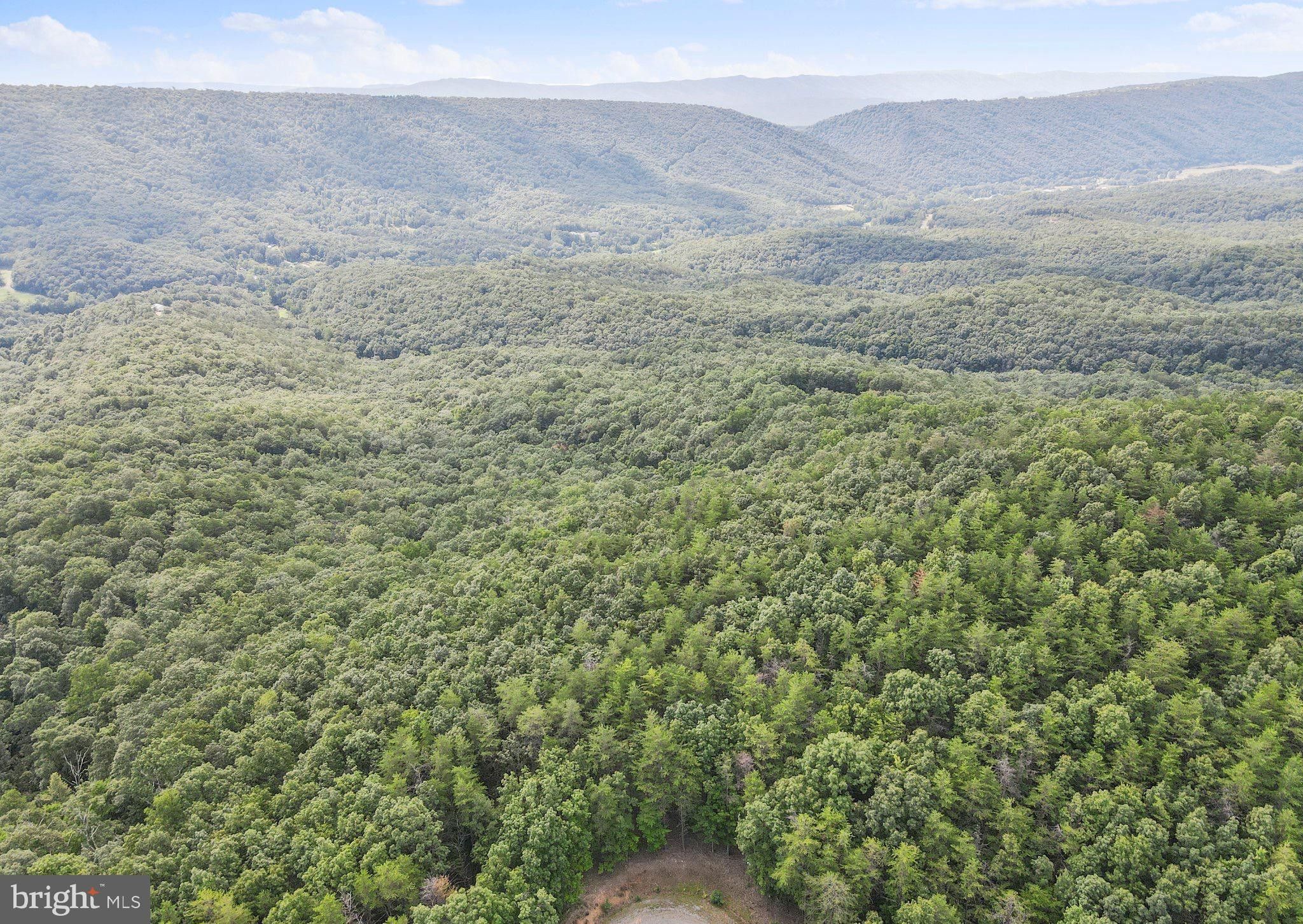 Romney, Hampshire County, WV Undeveloped Land for sale Property ID
