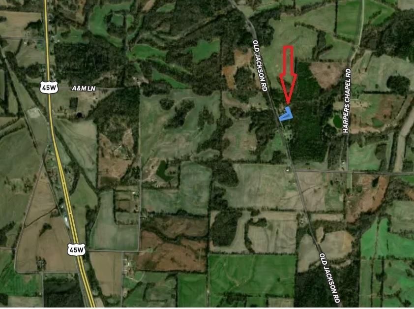 Trenton, Gibson County, TN Undeveloped Land, Horse Property, Homesites