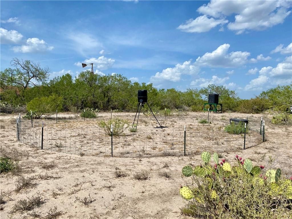 Freer, Duval County, TX Undeveloped Land for sale Property ID