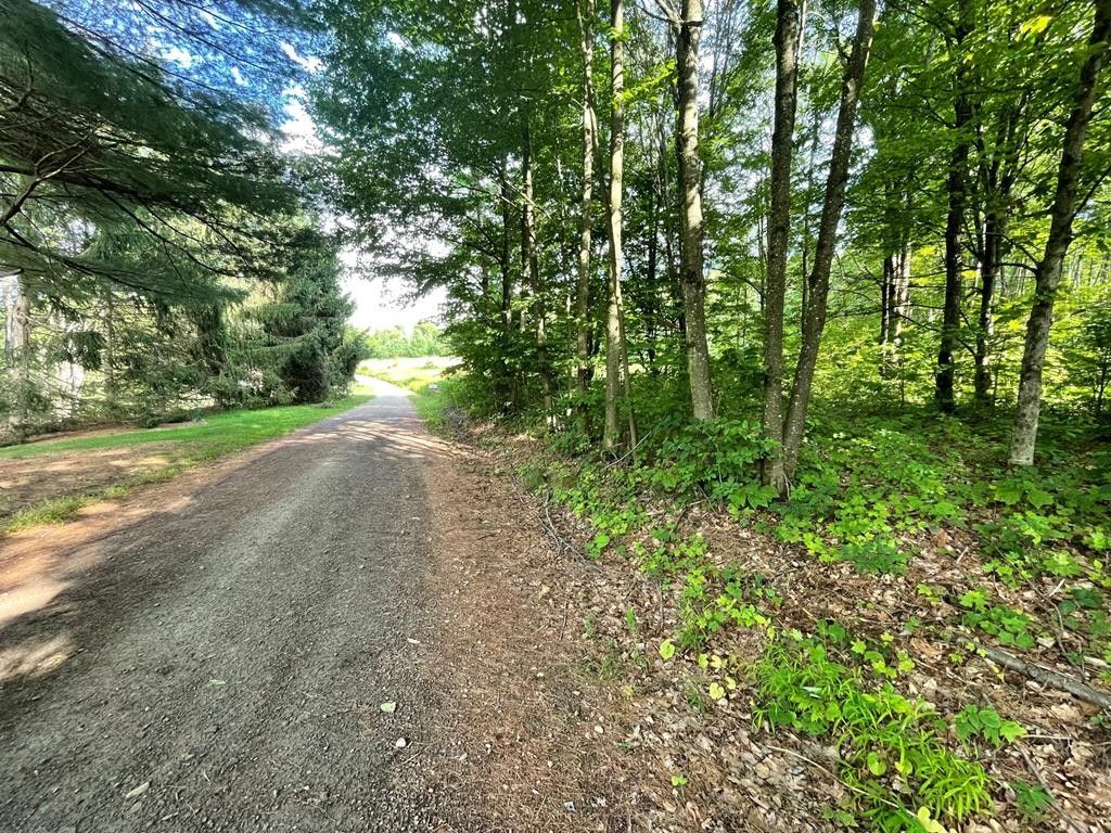 Sabinsville, Potter County, PA Undeveloped Land, Homesites for sale