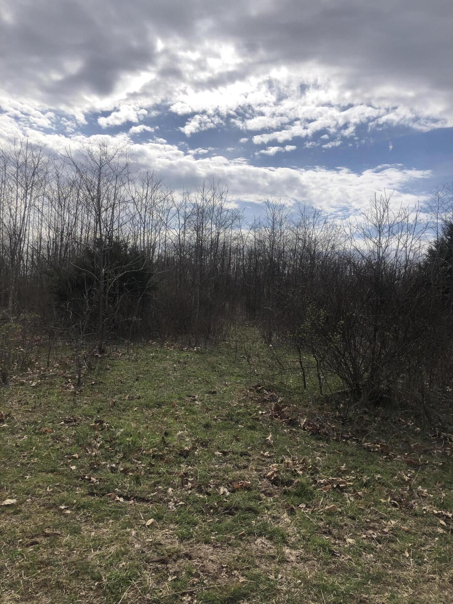 Bruner, Christian County, MO Undeveloped Land, Lakefront Property