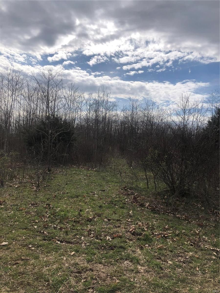 Sparta, Christian County, MO Farms and Ranches for sale Property ID