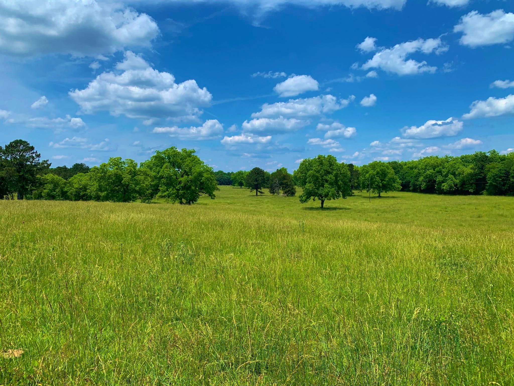 Monticello, Jasper County, GA Farms and Ranches, Commercial Property
