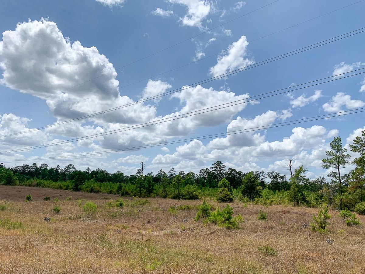 Huntsville, Walker County, TX Recreational Property, Hunting Property