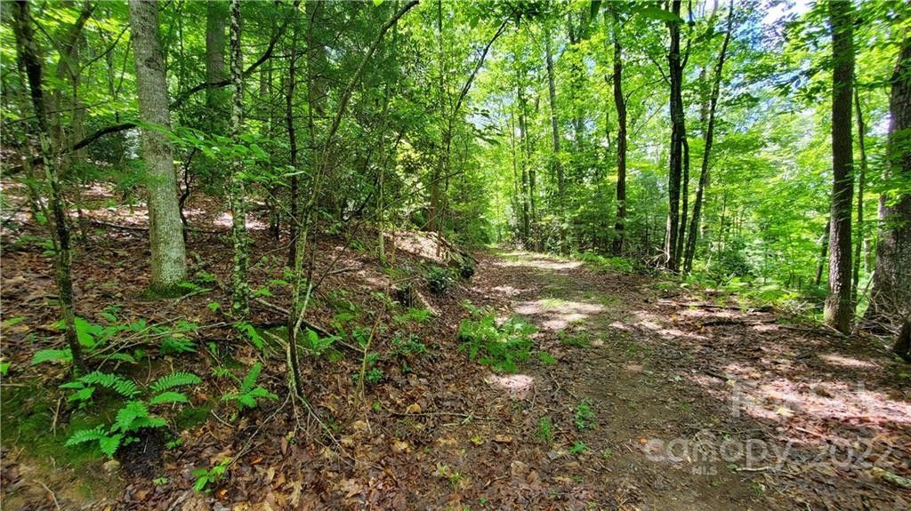 Hendersonville, Henderson County, NC Undeveloped Land, Homesites for