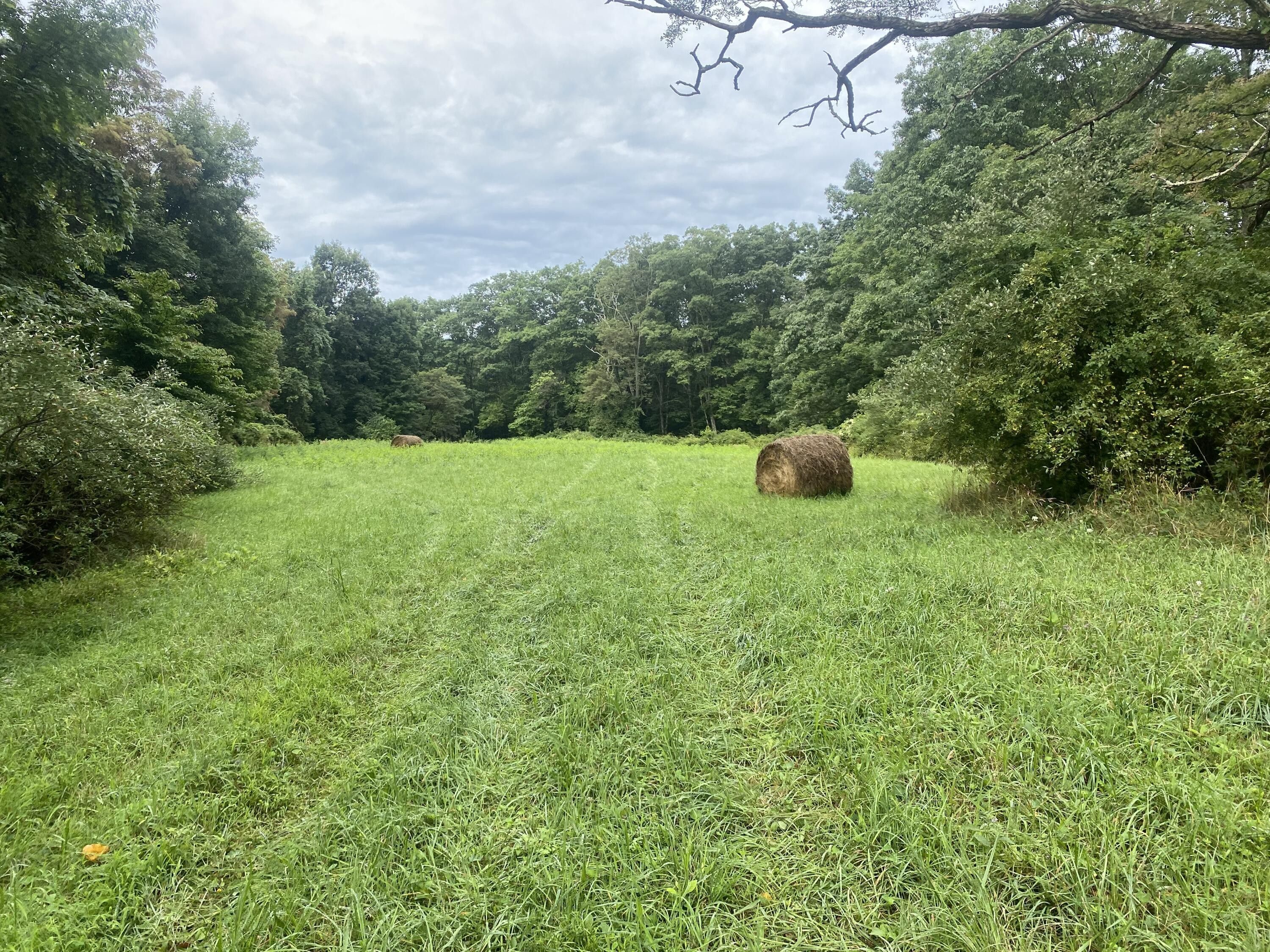 Belington, Barbour County, WV Farms and Ranches for sale Property ID
