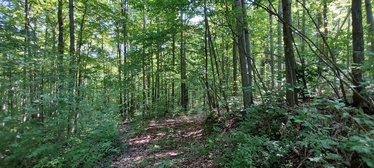 Fairview, Oscoda County, MI Farms and Ranches for sale Property ID