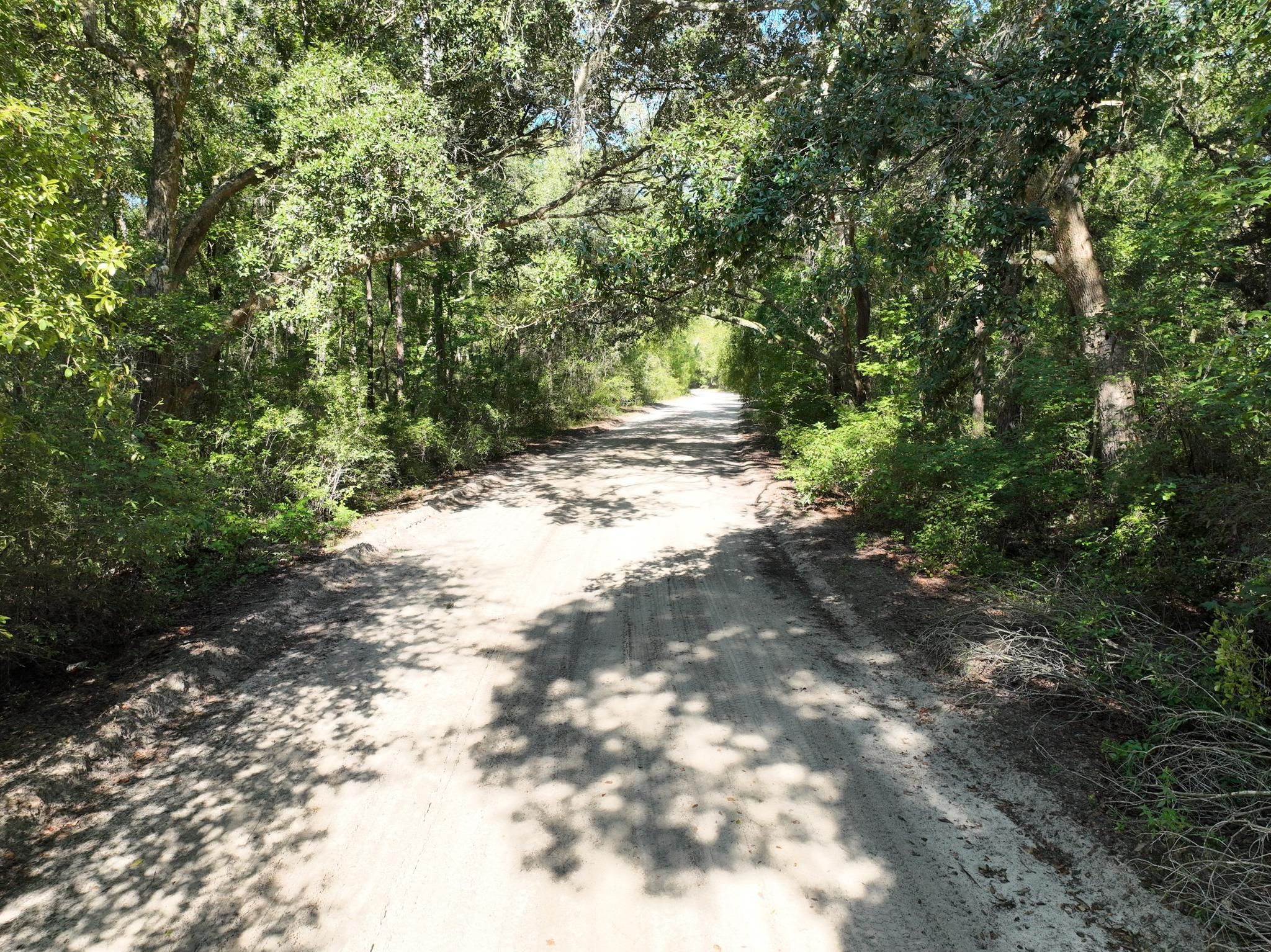 Dogwood Circle, Nahunta, GA 31553 LandWatch