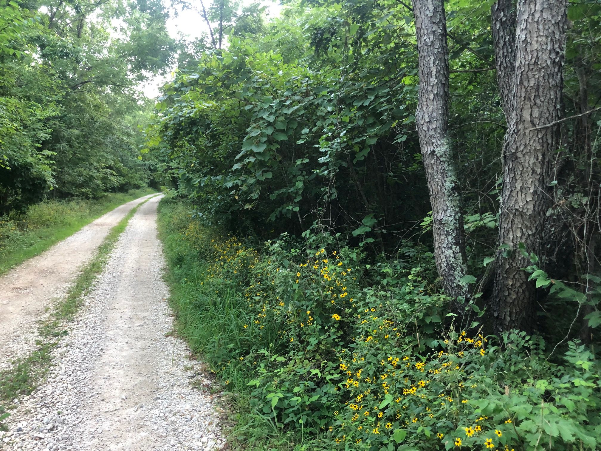 Mini Farm Lane, Gravois Mills, MO 65037 MLS 3548113 LandWatch