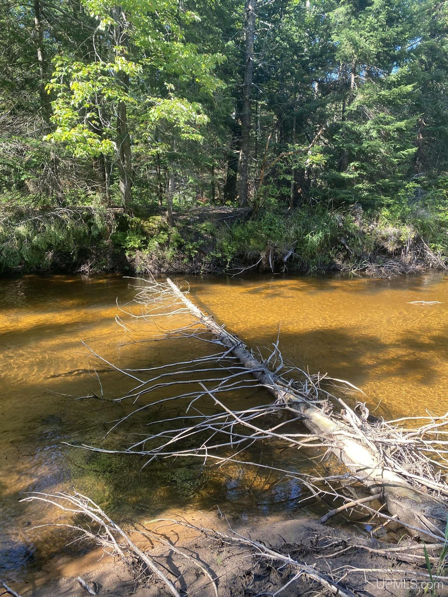 Burt, Alger County, MI Farms and Ranches, Lakefront Property