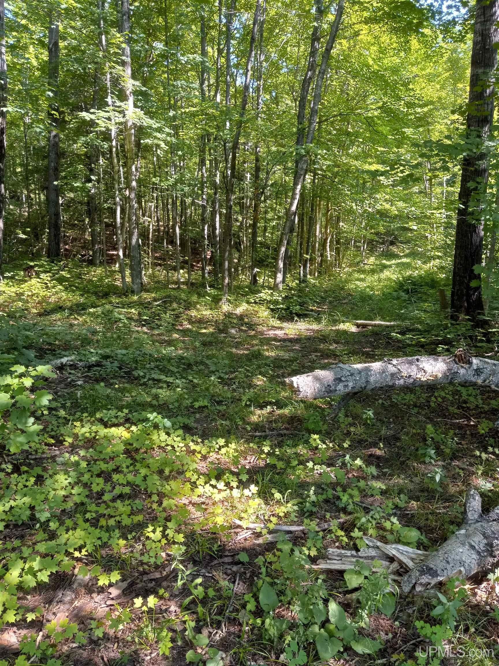 Big Bay, Marquette County, MI Farms and Ranches for sale Property ID