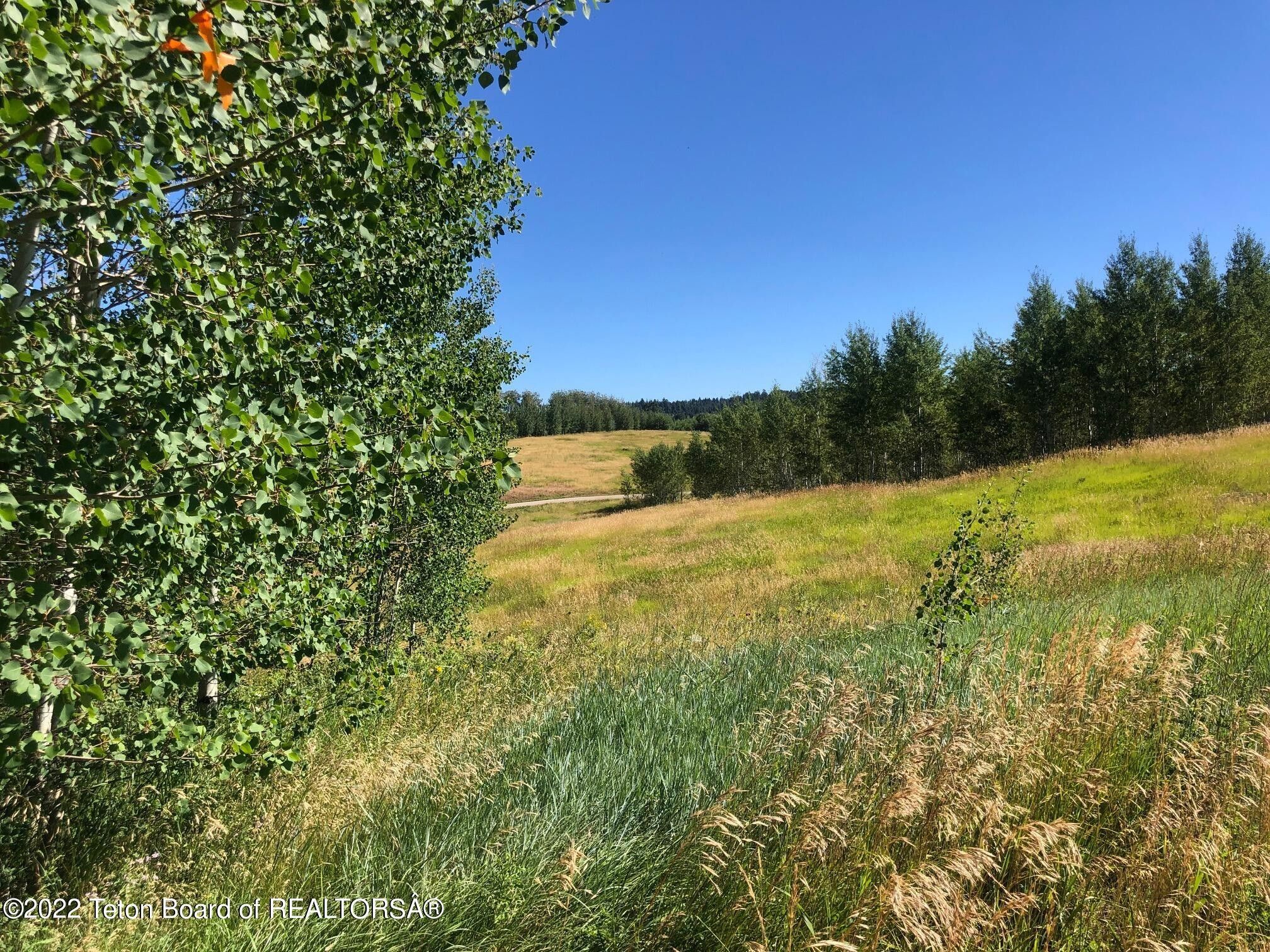 Tetonia, Teton County, ID Undeveloped Land for sale Property ID