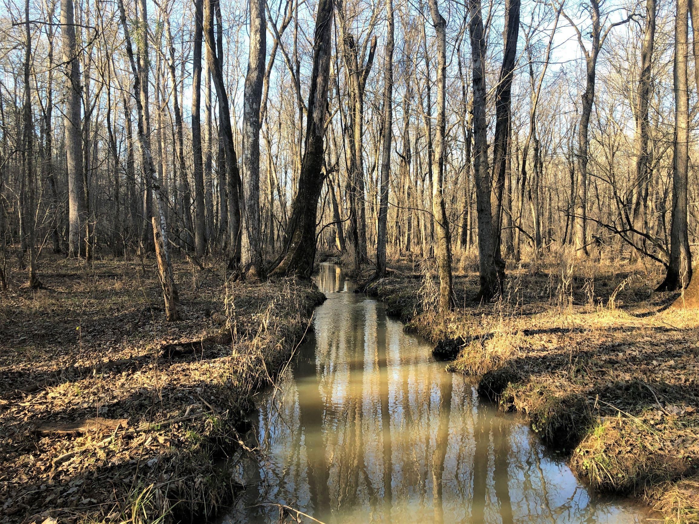 Hillsboro, Jasper County, GA Recreational Property, Timberland Property